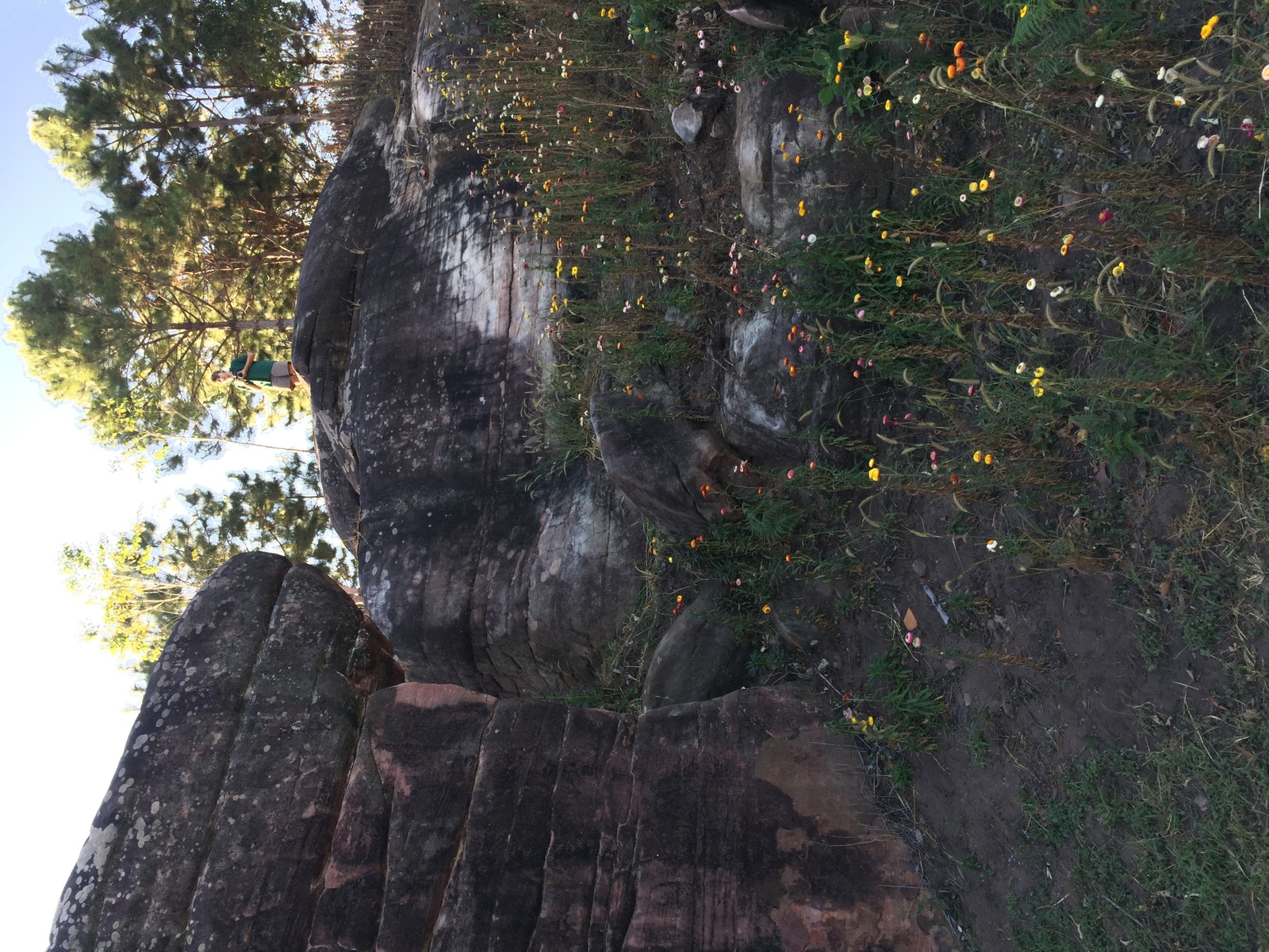 รูปถ่าย ไทย(Thailand) อุทยานแห่งชาติภูหินร่องกล้า(Phu Hin Rong Kla National Park) 2014-12 219