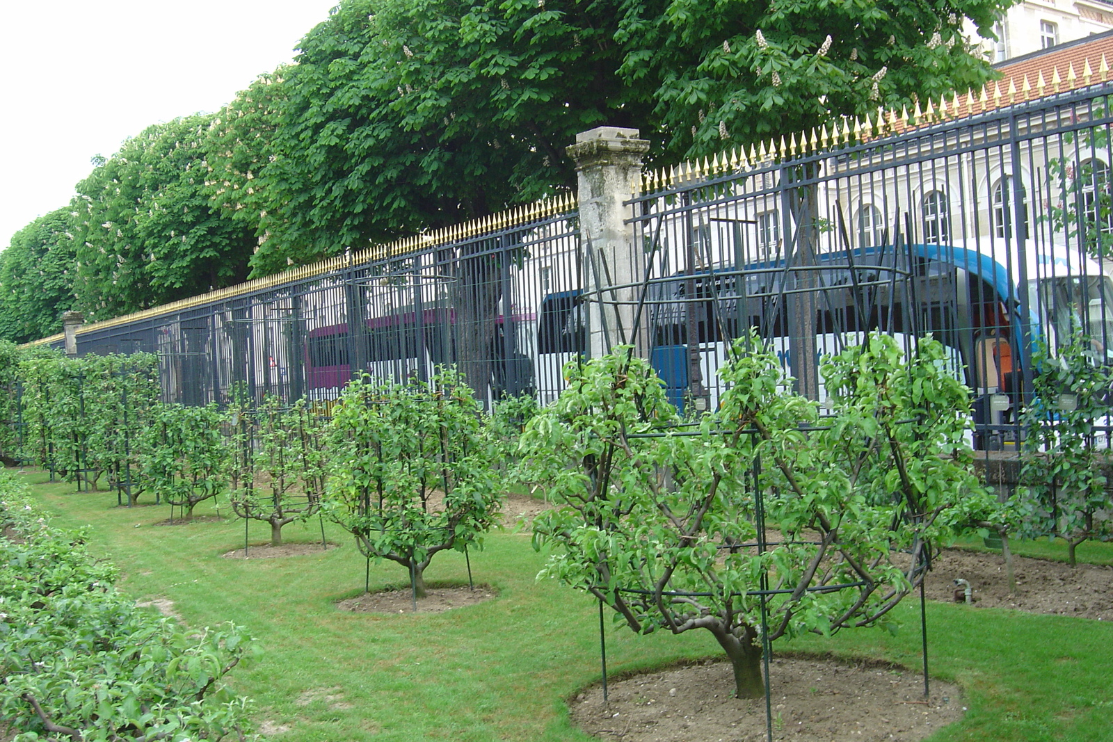 รูปถ่าย ฝรั่งเศส(France) ปารีส(Paris) สวนลักเซมเบิร์ก(Luxembourg Garden) 2007-04 24