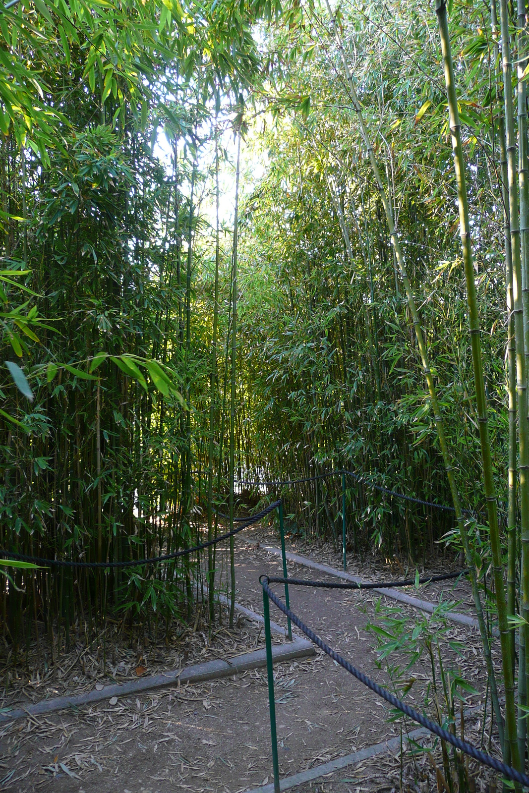 รูปถ่าย ฝรั่งเศส(France) นีส(Nice) สวนฟีนิกซ์(Phoenix Parc) 2007-10 63