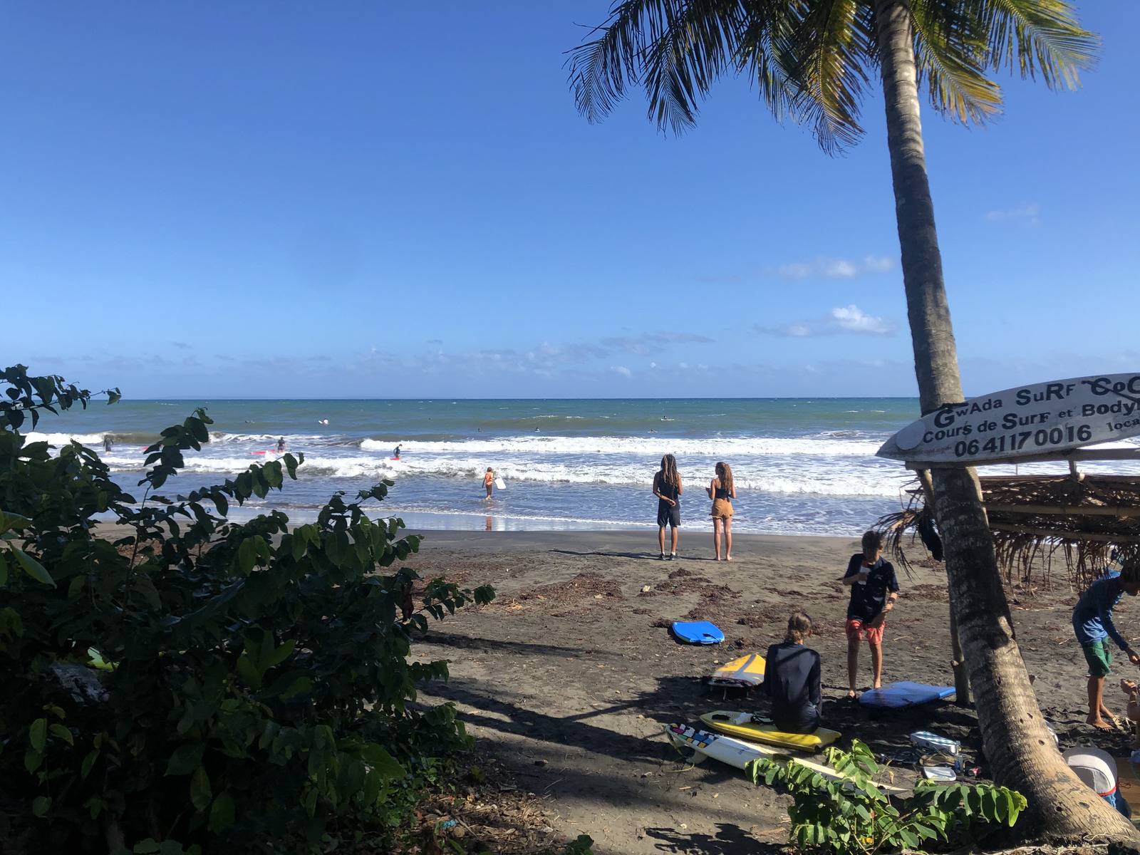 รูปถ่าย กวาเดอลูป(Guadeloupe) บานาเนีย(Bananier) 2021-02 7