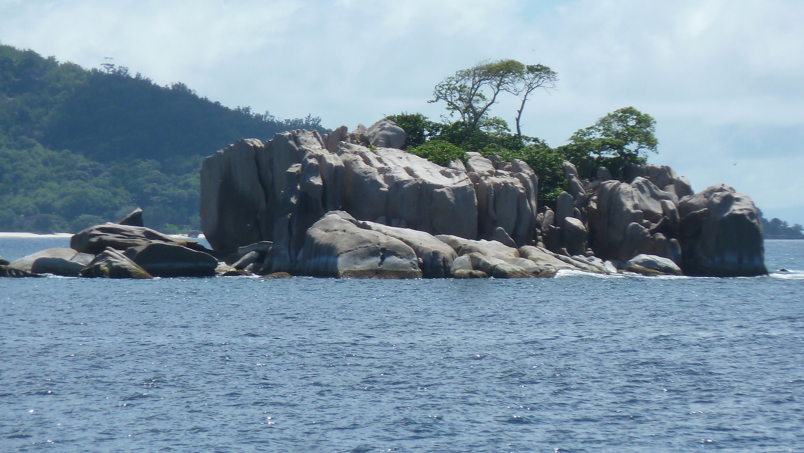 รูปถ่าย เซเชลส์(Seychelles) เกาะโกโก้(Coco Island) 2011-10 46