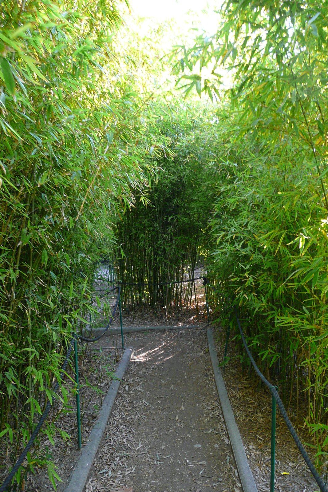 รูปถ่าย ฝรั่งเศส(France) นีส(Nice) สวนฟีนิกซ์(Phoenix Parc) 2007-10 36