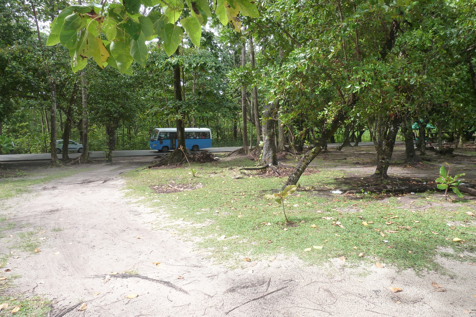 รูปถ่าย เซเชลส์(Seychelles) เกาะปราลิน(Praslin) 2011-10 138