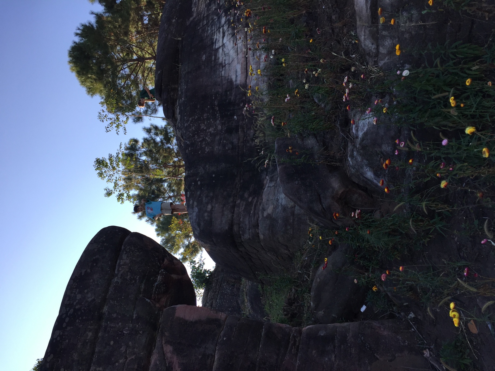 รูปถ่าย ไทย(Thailand) อุทยานแห่งชาติภูหินร่องกล้า(Phu Hin Rong Kla National Park) 2014-12 158