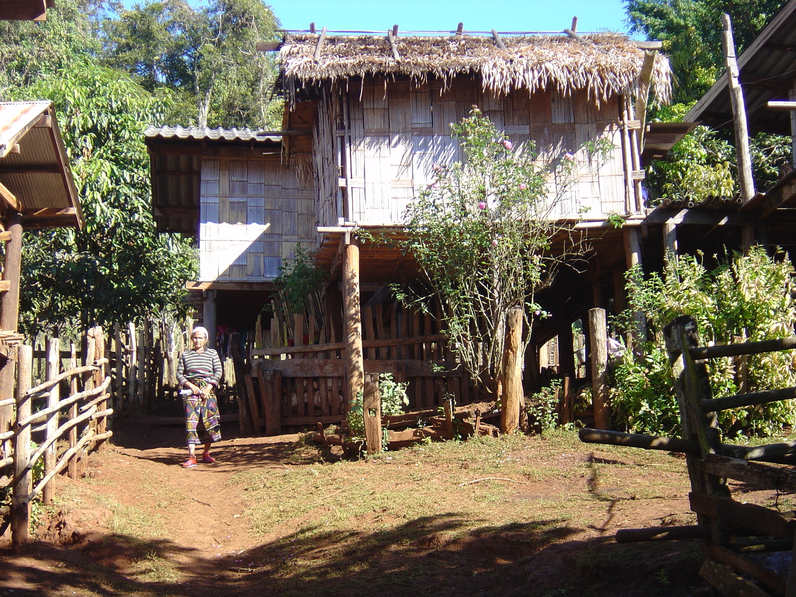 รูปถ่าย ไทย(Thailand) ปางมะผ้า(Pang Mapha) 2005-12 62
