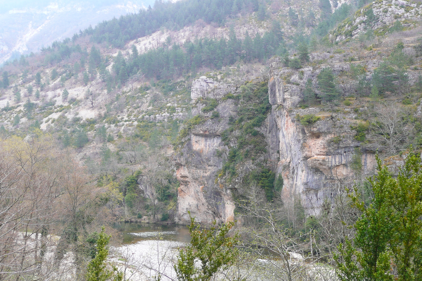 รูปถ่าย ฝรั่งเศส(France) หุบผาชันตาร์น(Gorges du Tarn) 2008-04 19