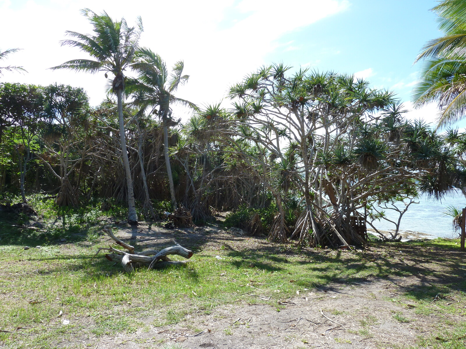 รูปถ่าย นิวแคลิโดเนีย(New Caledonia) เกาะลีฟู(Lifou) หมู่บ้านมู(Mu) 2010-05 5