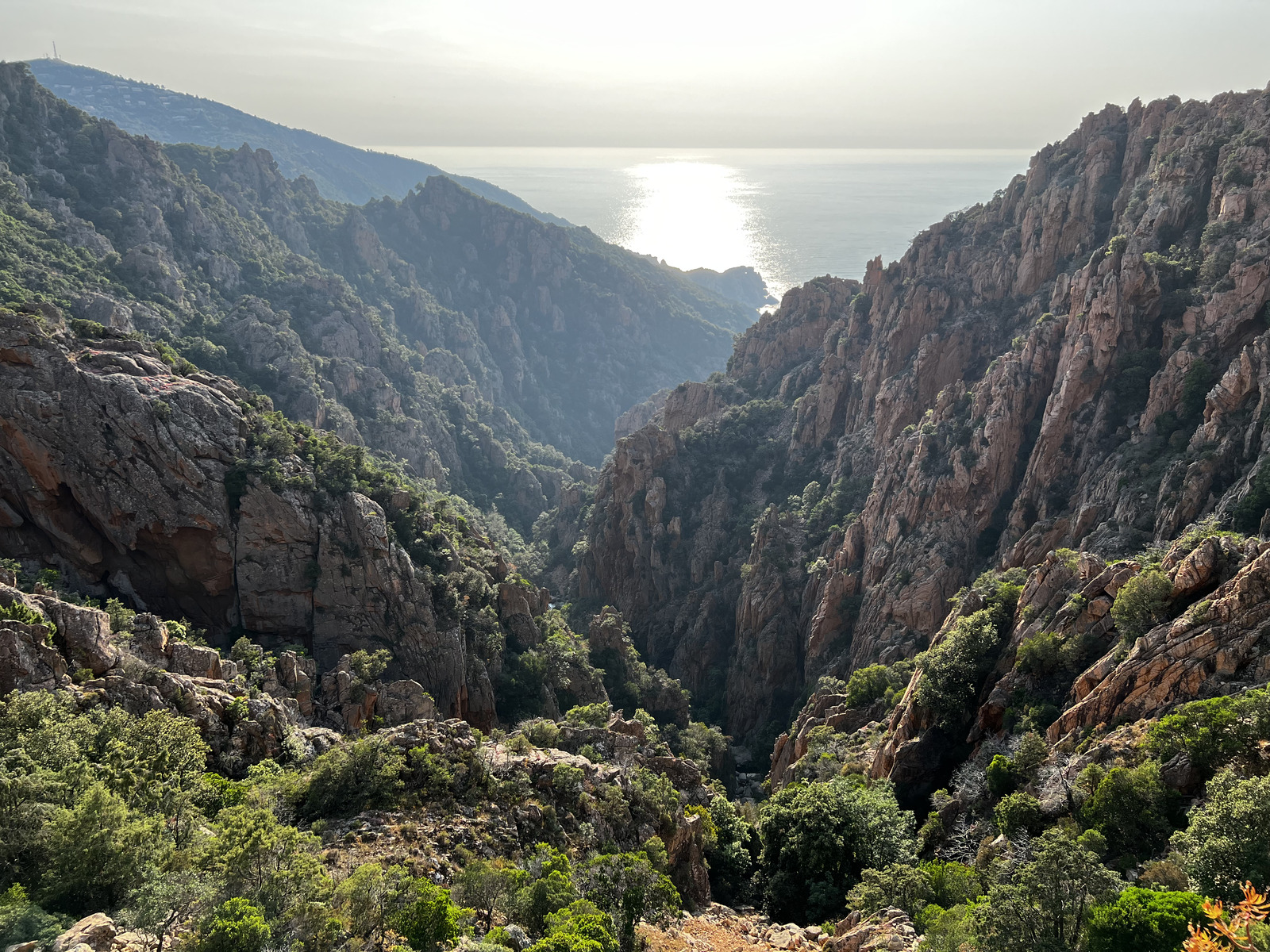 รูปถ่าย ฝรั่งเศส(France) คอร์สิคา(Corsica) หน้าผากาลังก์เดอเปียนา(Calanques de Piana) 2023-06 30