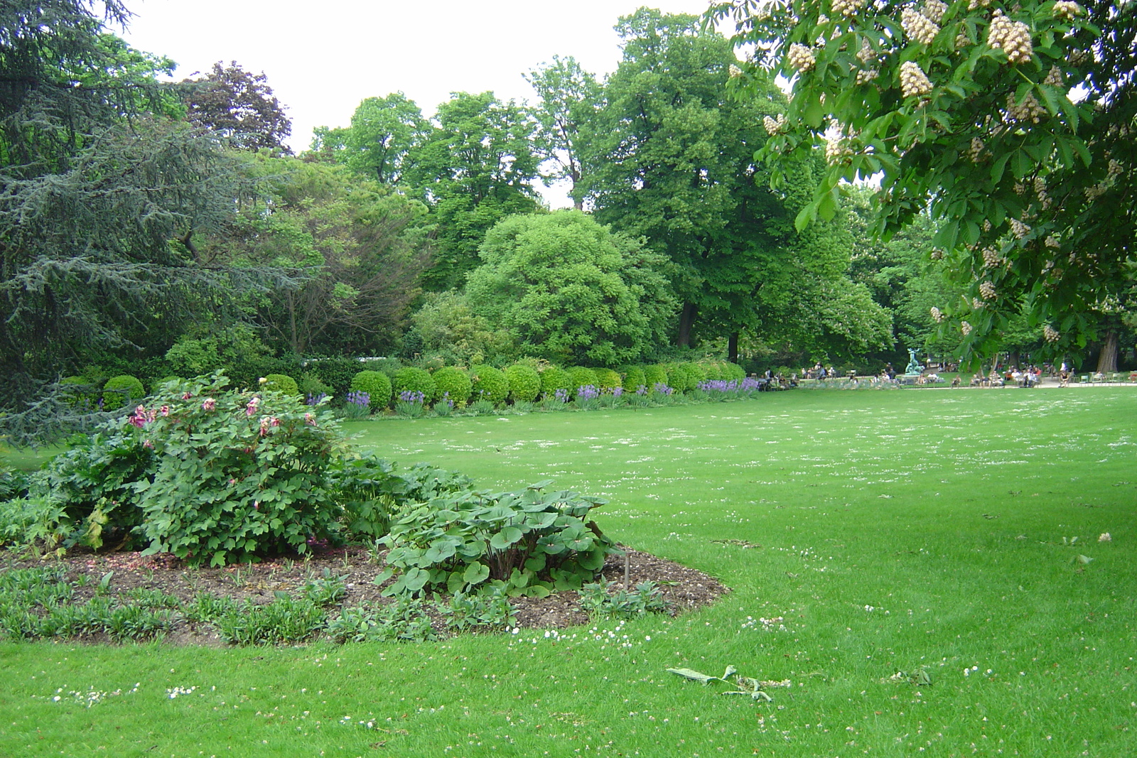 รูปถ่าย ฝรั่งเศส(France) ปารีส(Paris) สวนลักเซมเบิร์ก(Luxembourg Garden) 2007-04 45