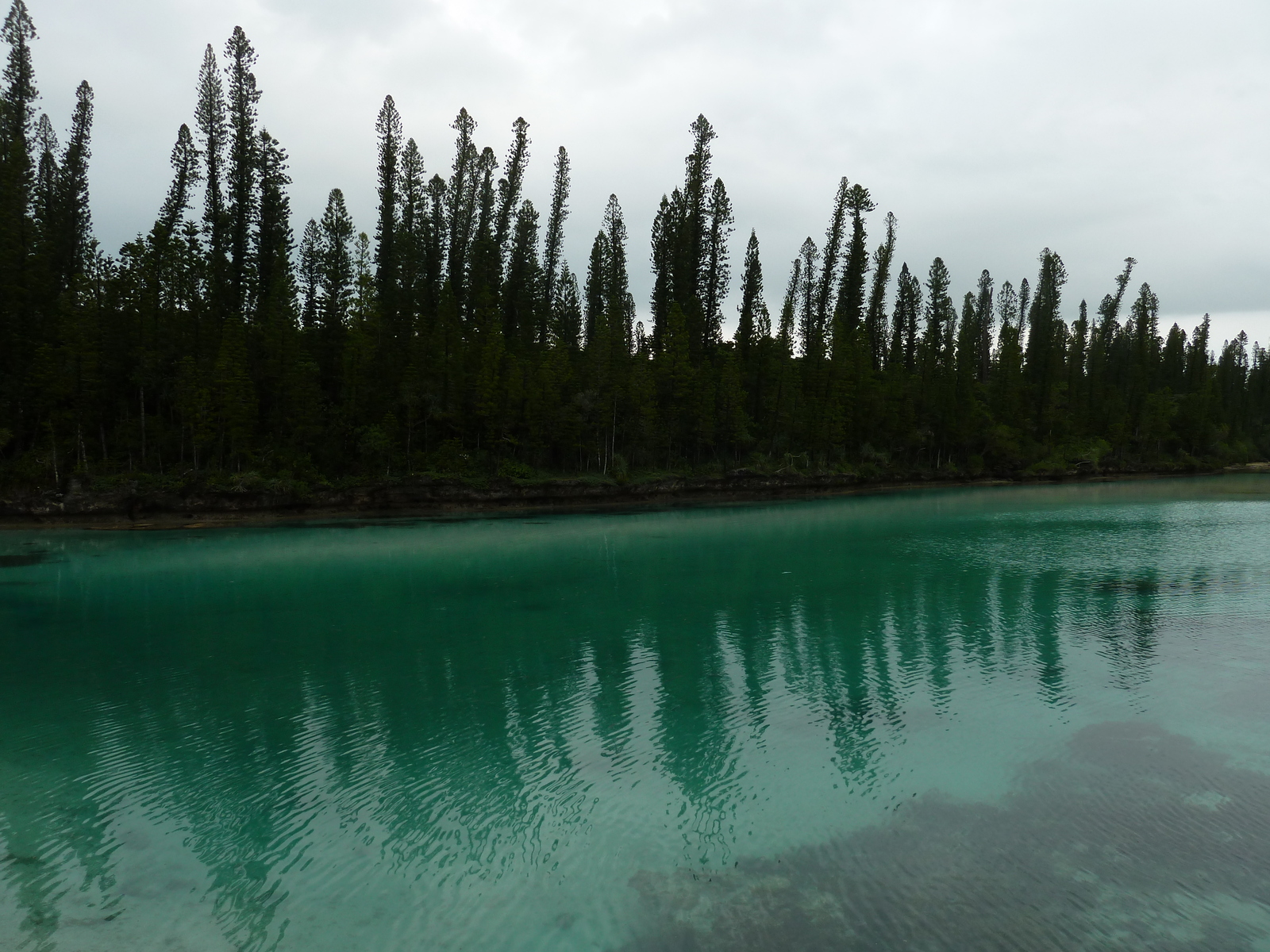 รูปถ่าย นิวแคลิโดเนีย(New Caledonia) เกาะต้นสน(Ile des pins) อ่าวโอโร(Oro Bay) 2010-05 78