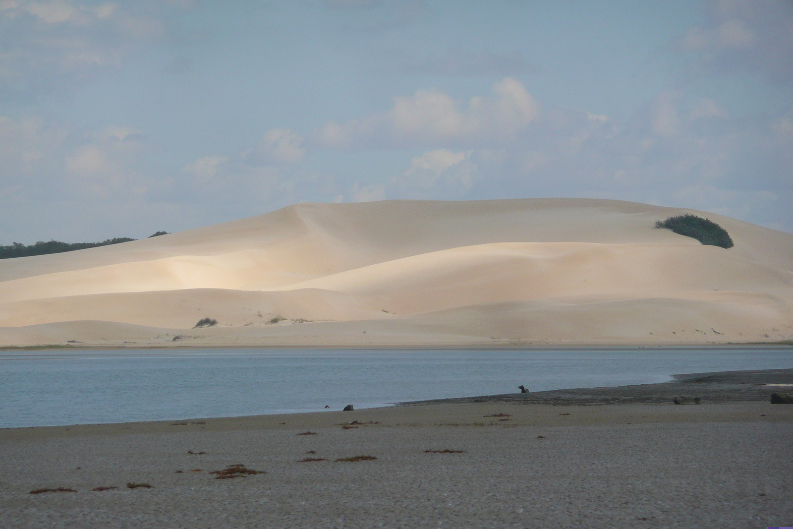 รูปถ่าย แอฟริกาใต้(South Africa) แม่น้ำซันเดส์(Sundays River) 2008-09 21