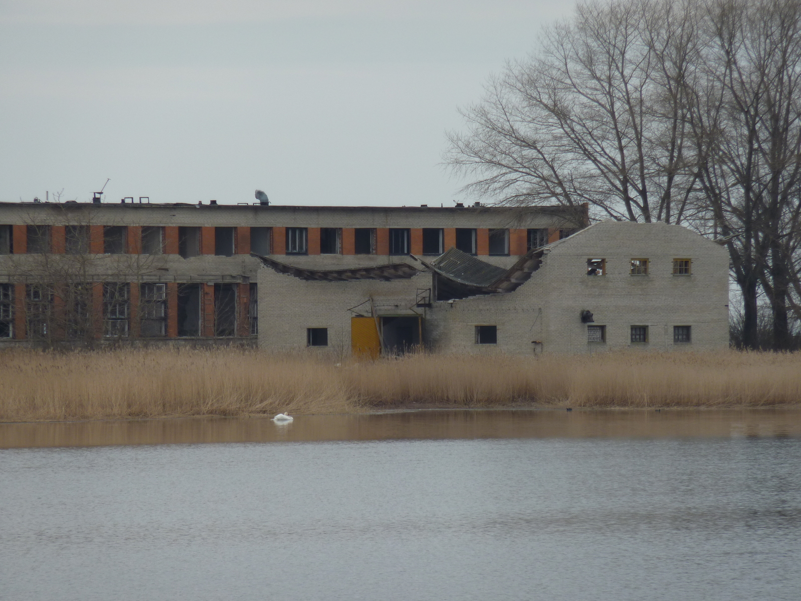 รูปถ่าย เอสโตเนีย(Estonia) ฮาปซาลู(Haapsalu) 2009-04 54
