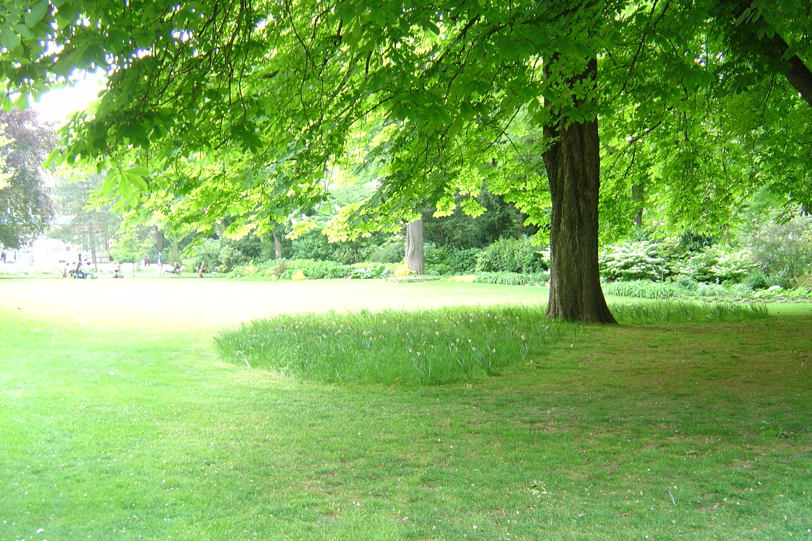 รูปถ่าย ฝรั่งเศส(France) ปารีส(Paris) สวนลักเซมเบิร์ก(Luxembourg Garden) 2007-04 178