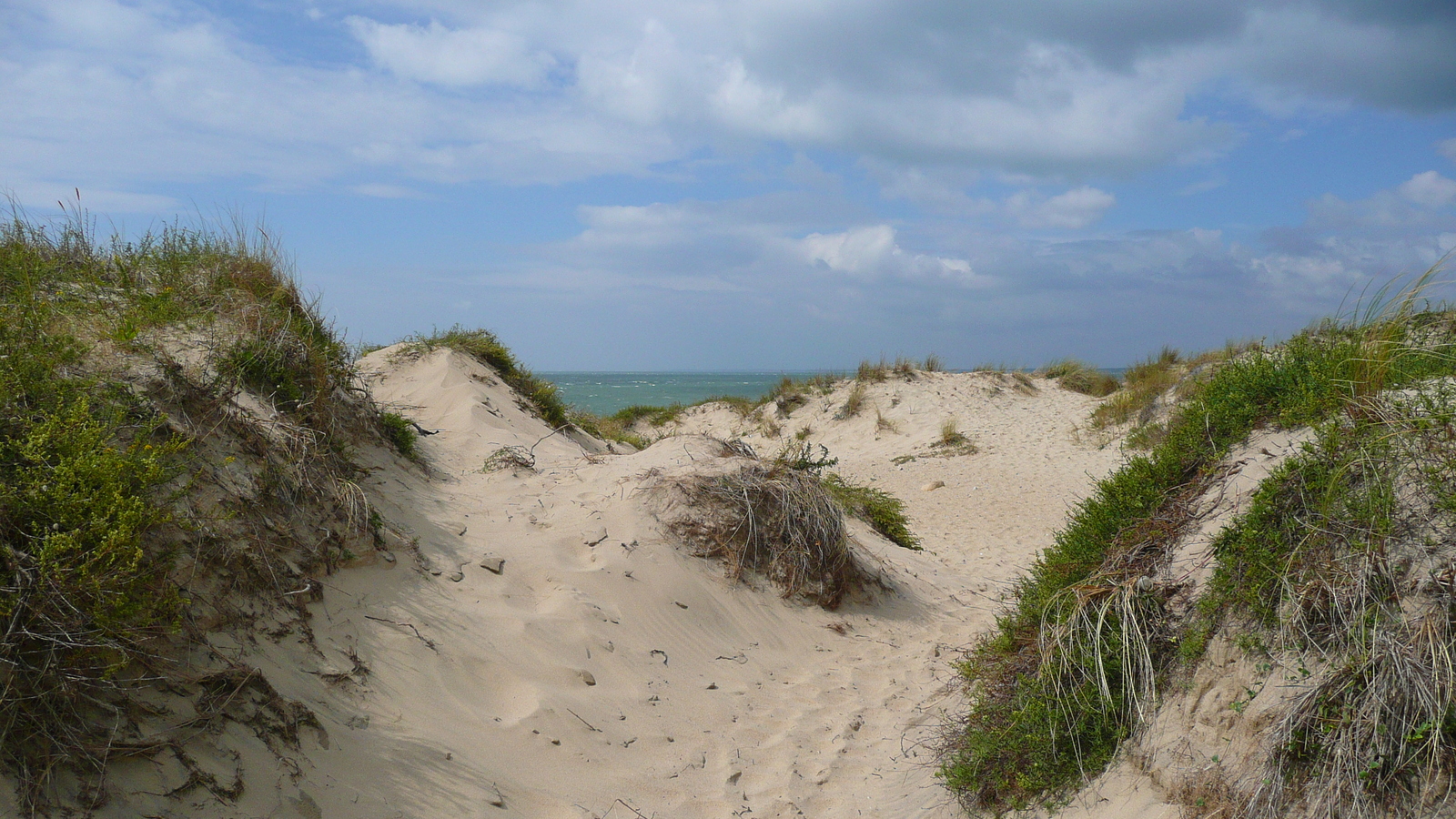 รูปถ่าย ฝรั่งเศส(France) ปากแม่น้ำฌีรงด์(Gironde estuary) 2007-08 43