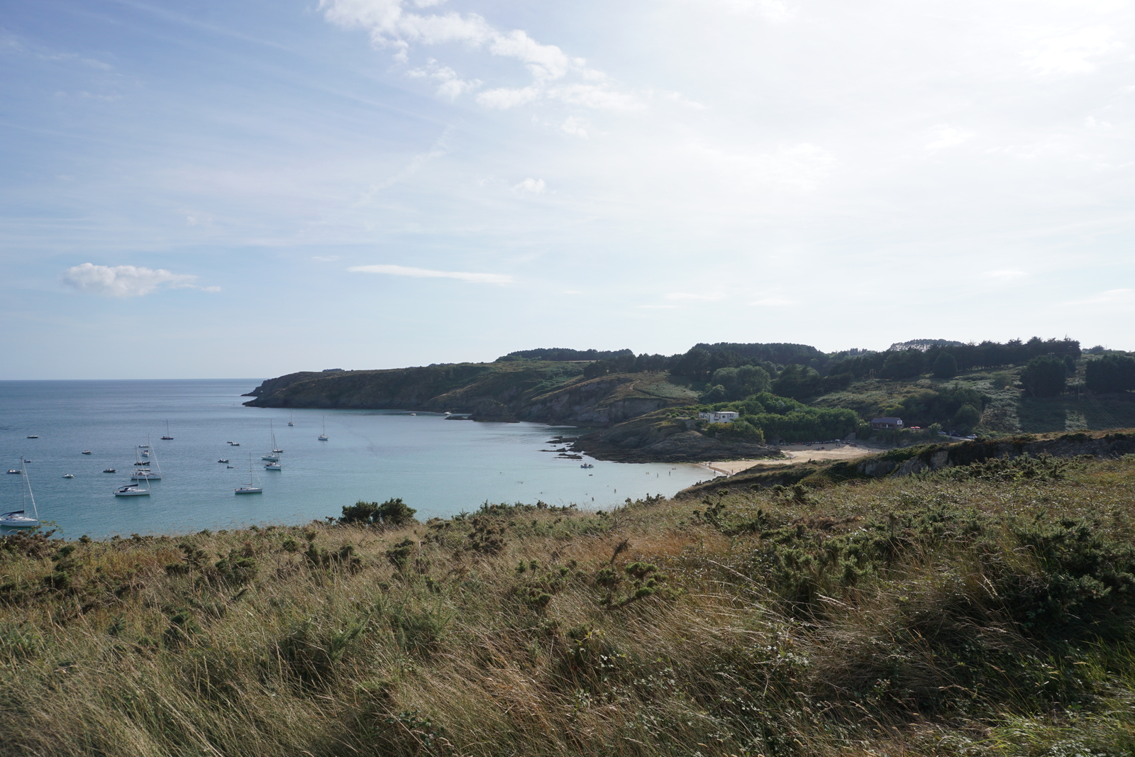 รูปถ่าย ฝรั่งเศส(France) เกาะแบล-อีล(Belle-Ile) 2016-08 221