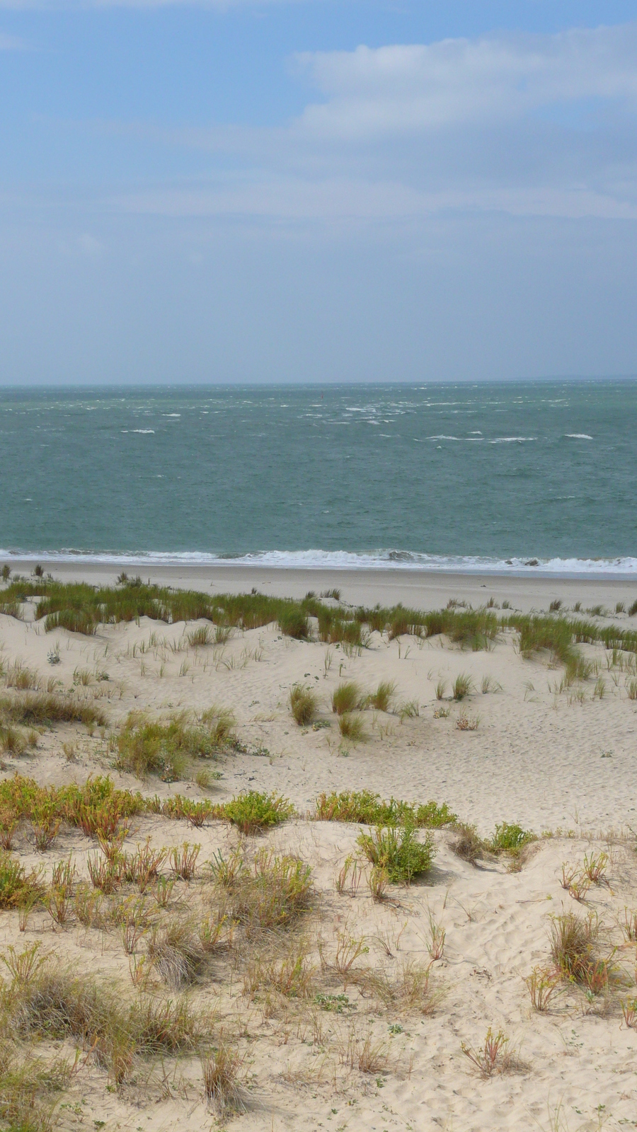 รูปถ่าย ฝรั่งเศส(France) ปากแม่น้ำฌีรงด์(Gironde estuary) 2007-08 60