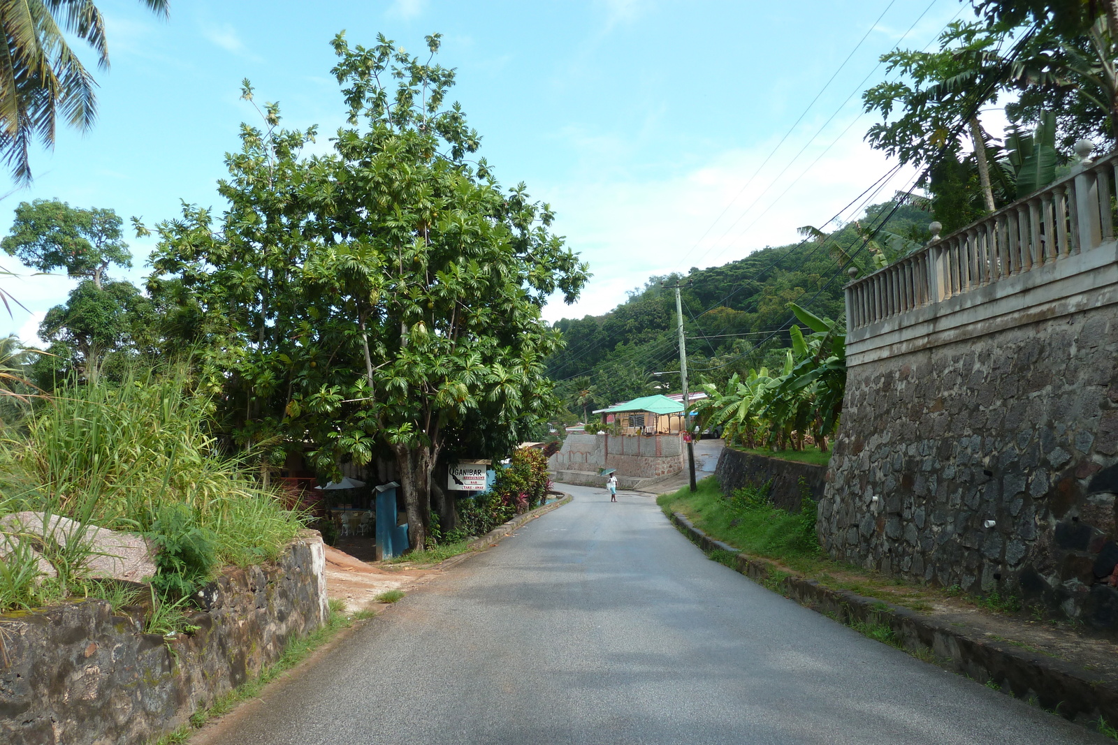 รูปถ่าย เซเชลส์(Seychelles) เกาะปราลิน(Praslin) 2011-10 140
