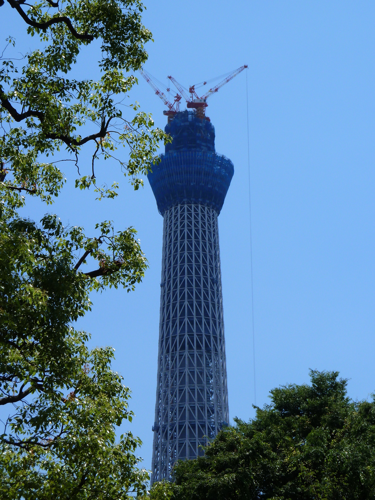รูปถ่าย ญี่ปุ่น(Japan) โตเกียว(Tokyo) ซุมิดะ(Sumida) 2010-06 35