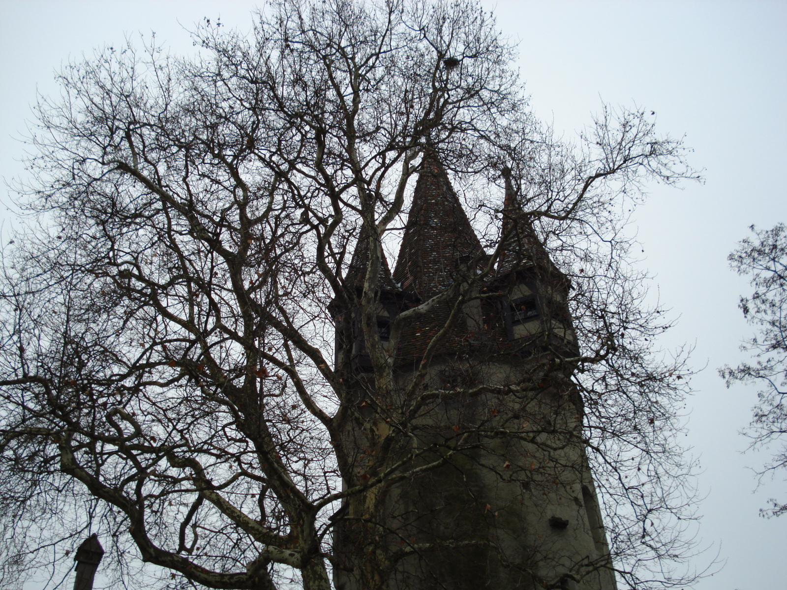 รูปถ่าย เยอรมนี(Germany) ลินโด(Lindau) 2007-01 8