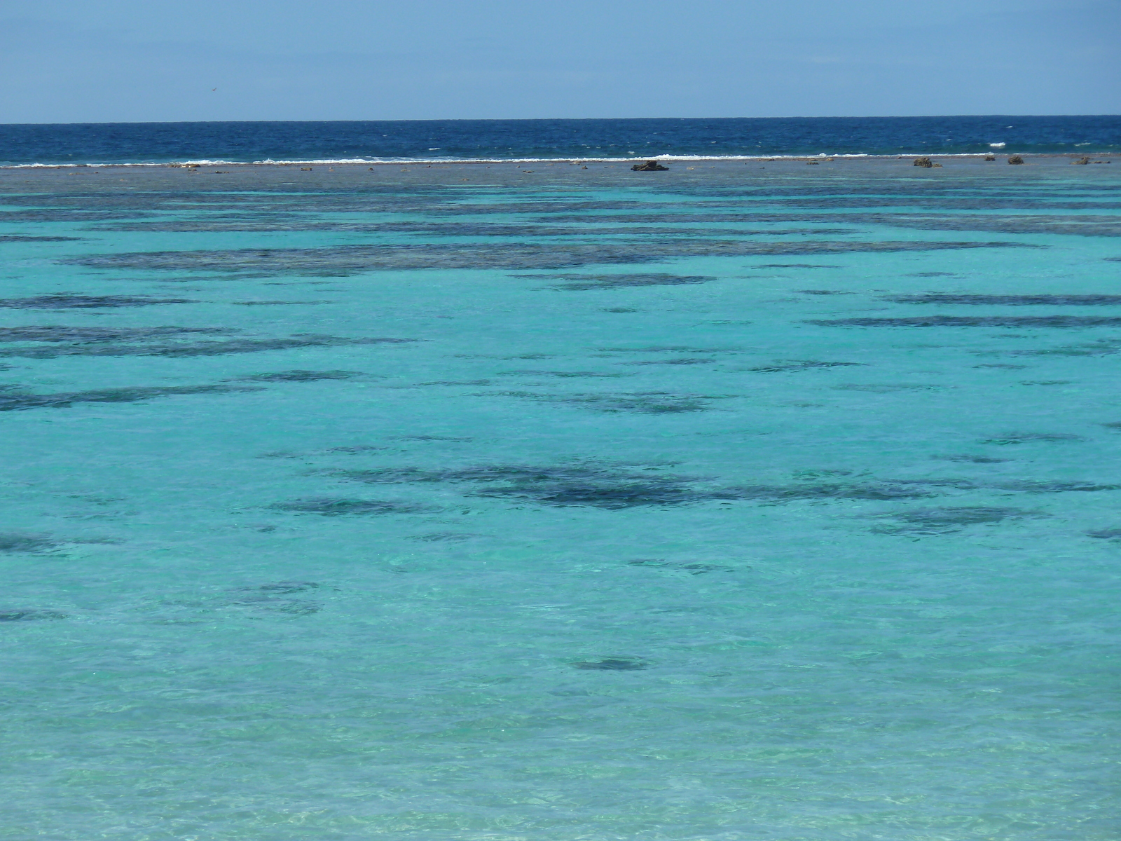 รูปถ่าย นิวแคลิโดเนีย(New Caledonia) เกาะลีฟู(Lifou) หมู่บ้านมู(Mu) 2010-05 28