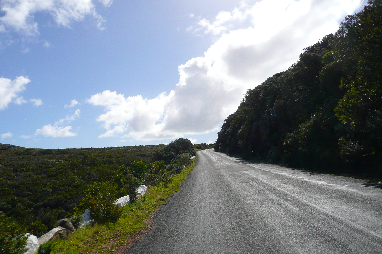 รูปถ่าย แอฟริกาใต้(South Africa) แหลมกู๊ดโฮป(Cape of Good Hope) แหลมเคปพอยต์(Cape Point) 2008-09 50