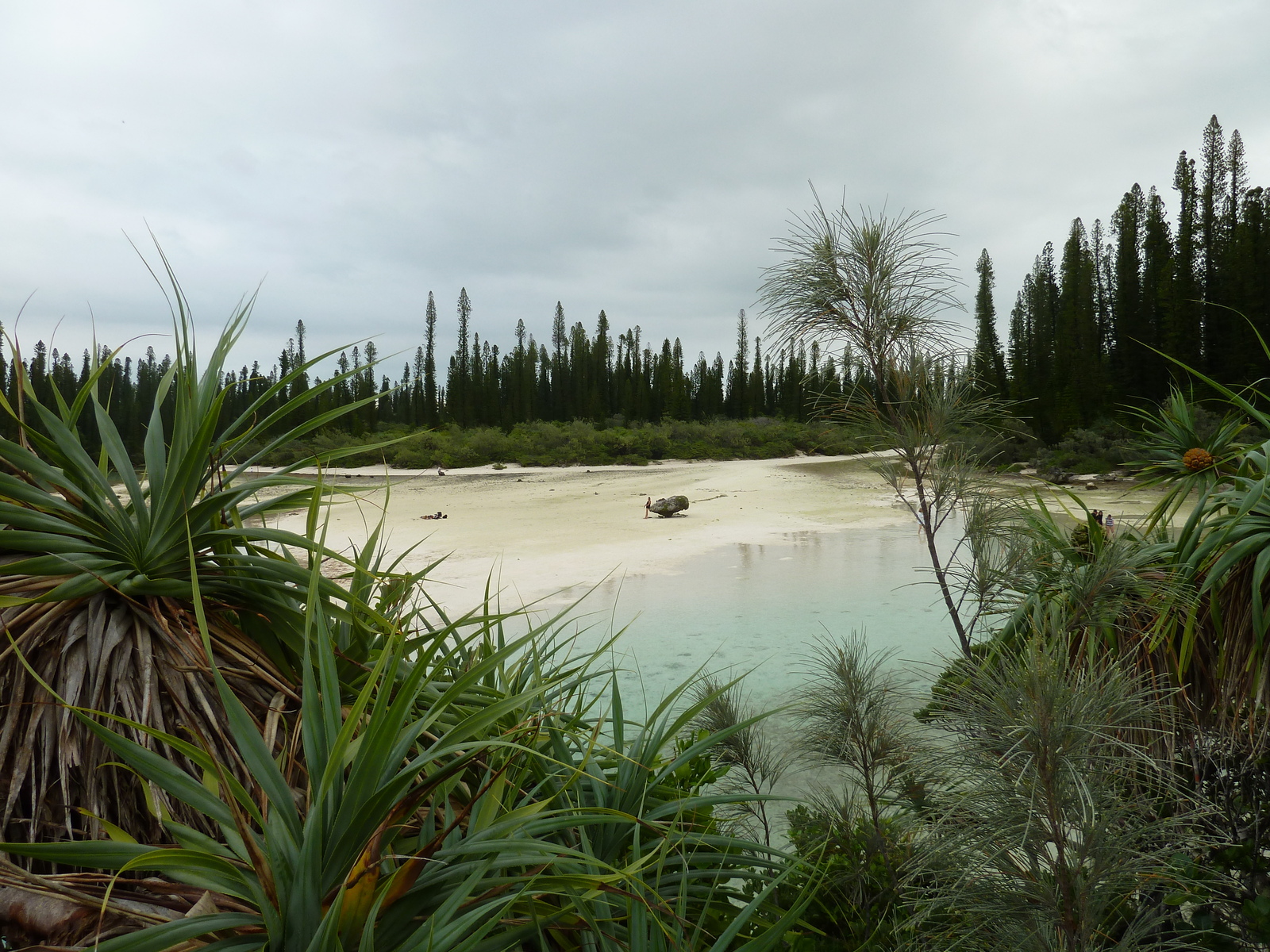 รูปถ่าย นิวแคลิโดเนีย(New Caledonia) เกาะต้นสน(Ile des pins) อ่าวโอโร(Oro Bay) 2010-05 43