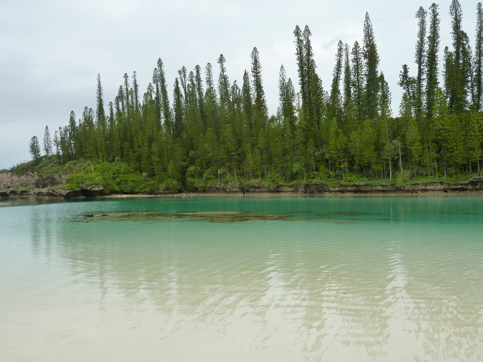 รูปถ่าย นิวแคลิโดเนีย(New Caledonia) เกาะต้นสน(Ile des pins) อ่าวโอโร(Oro Bay) 2010-05 66
