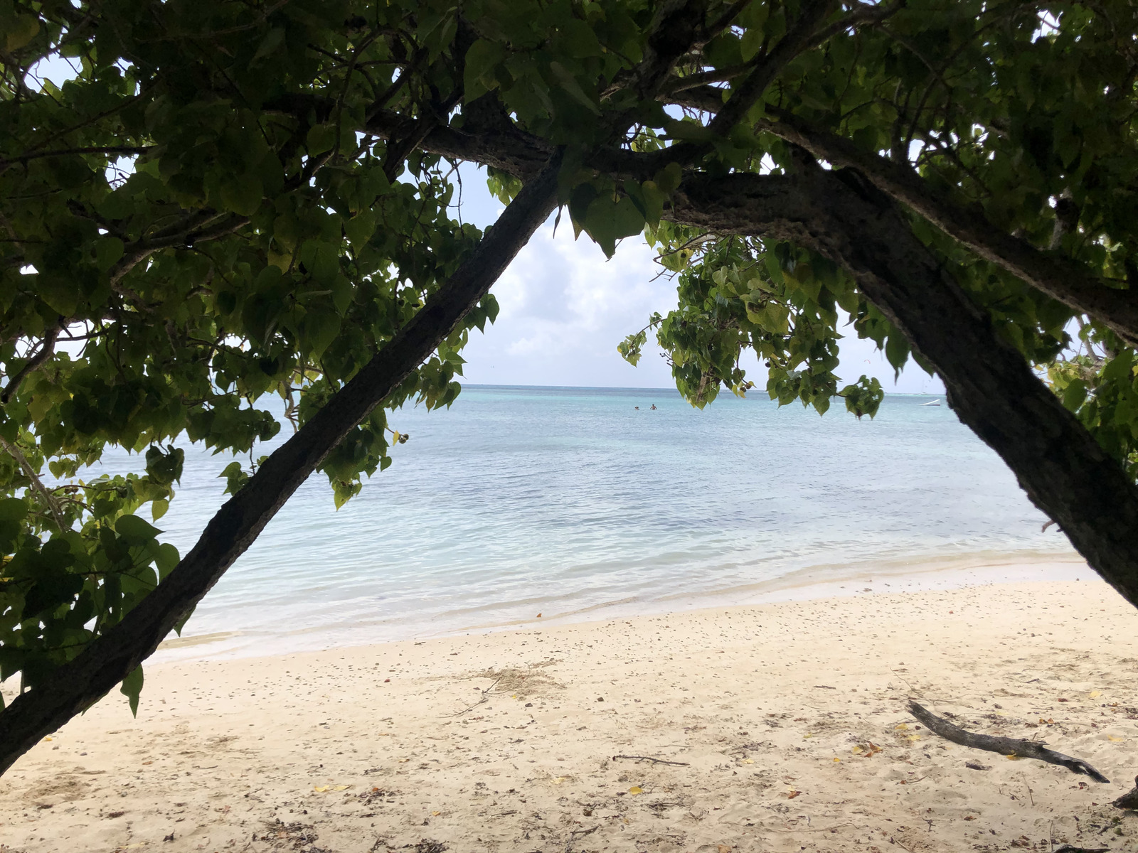รูปถ่าย กวาเดอลูป(Guadeloupe) แซ็งฟร็องซัว(Saint Francois) 2021-02 43