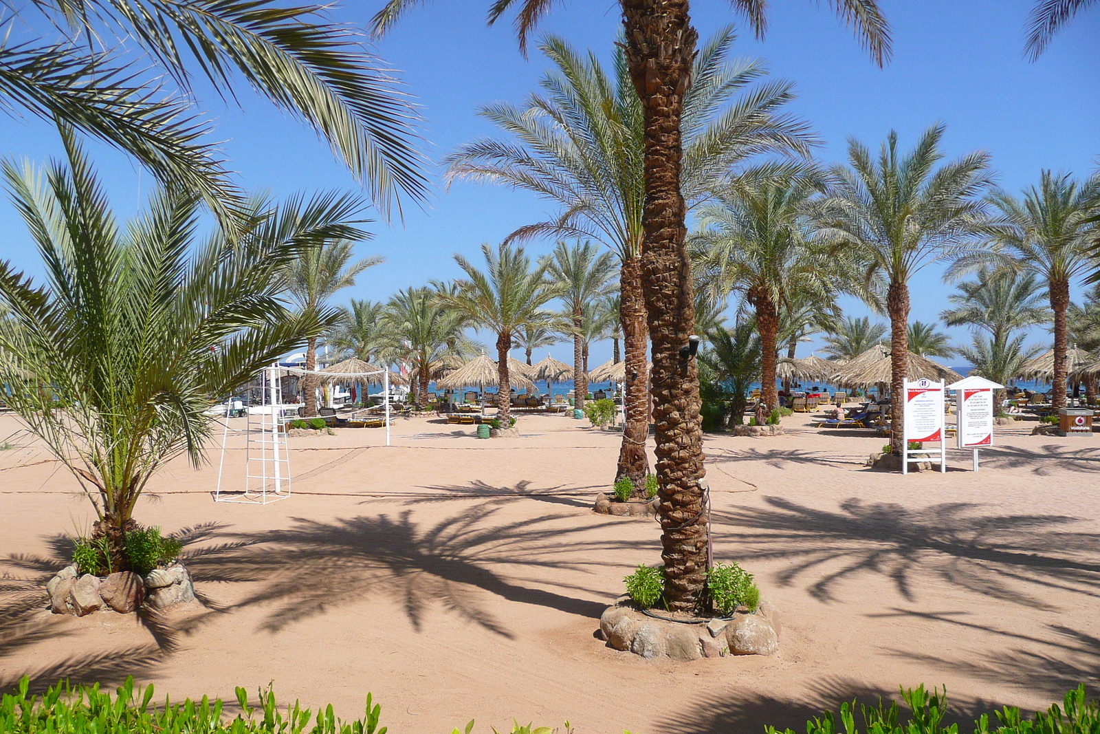 รูปถ่าย อียิปต์(Egypt) ชาร์มเอลชีค(Sharm el Sheikh) 2008-06 66