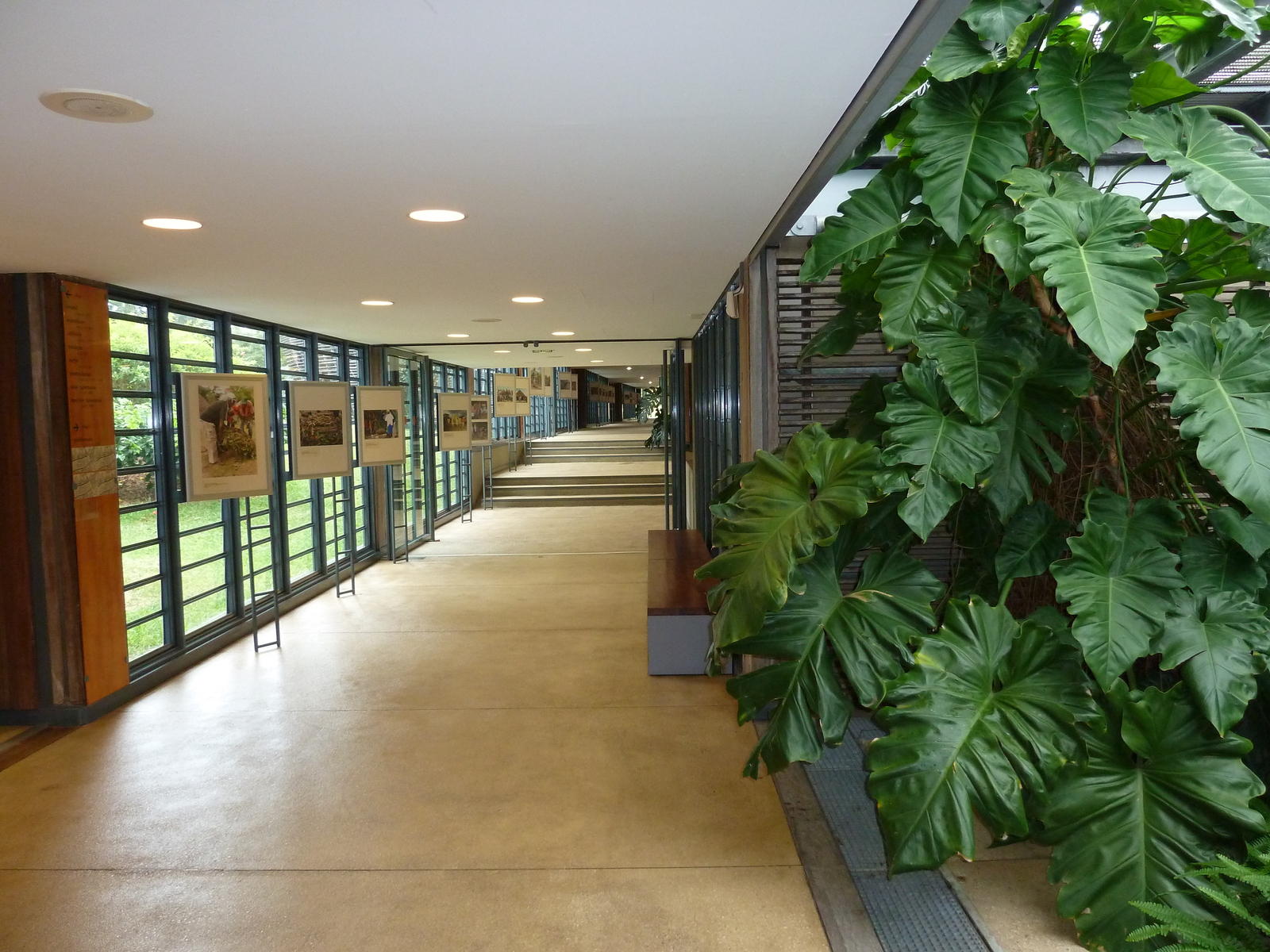 รูปถ่าย นิวแคลิโดเนีย(New Caledonia) ศูนย์วัฒนธรรมฌีบาอู(Tjibaou Cultural Centre) 2010-05 32