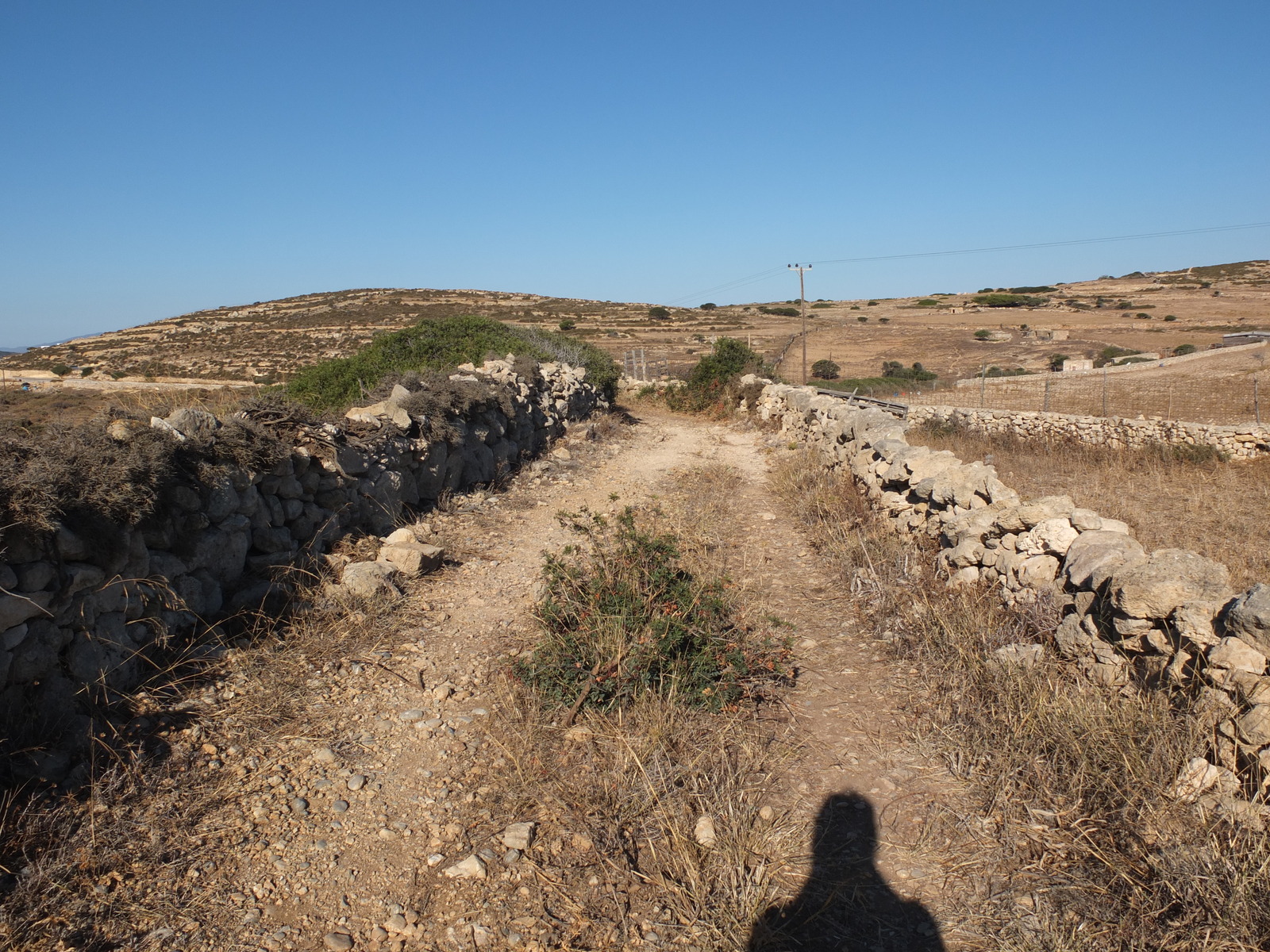 รูปถ่าย กรีก(Greece) เกาะคูโฟนิสเซีย(Koufonissia) 2014-07 290