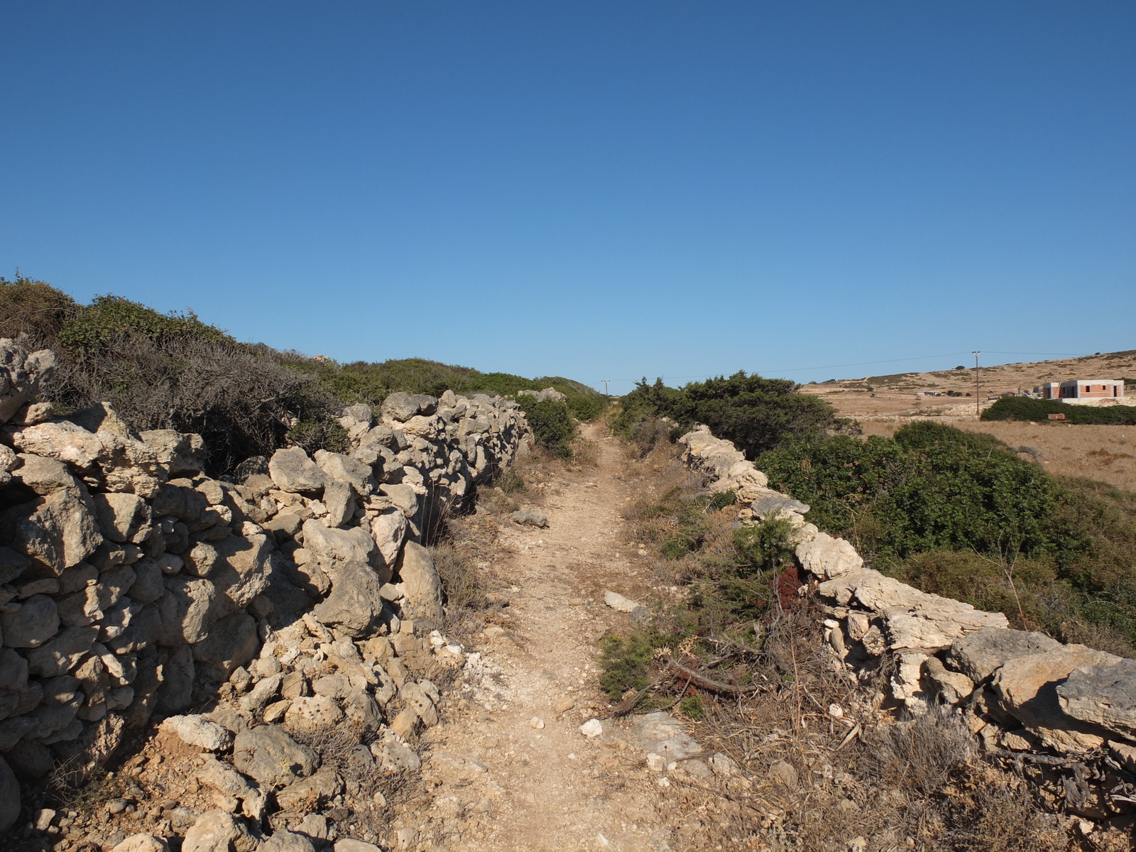 รูปถ่าย กรีก(Greece) เกาะคูโฟนิสเซีย(Koufonissia) 2014-07 327