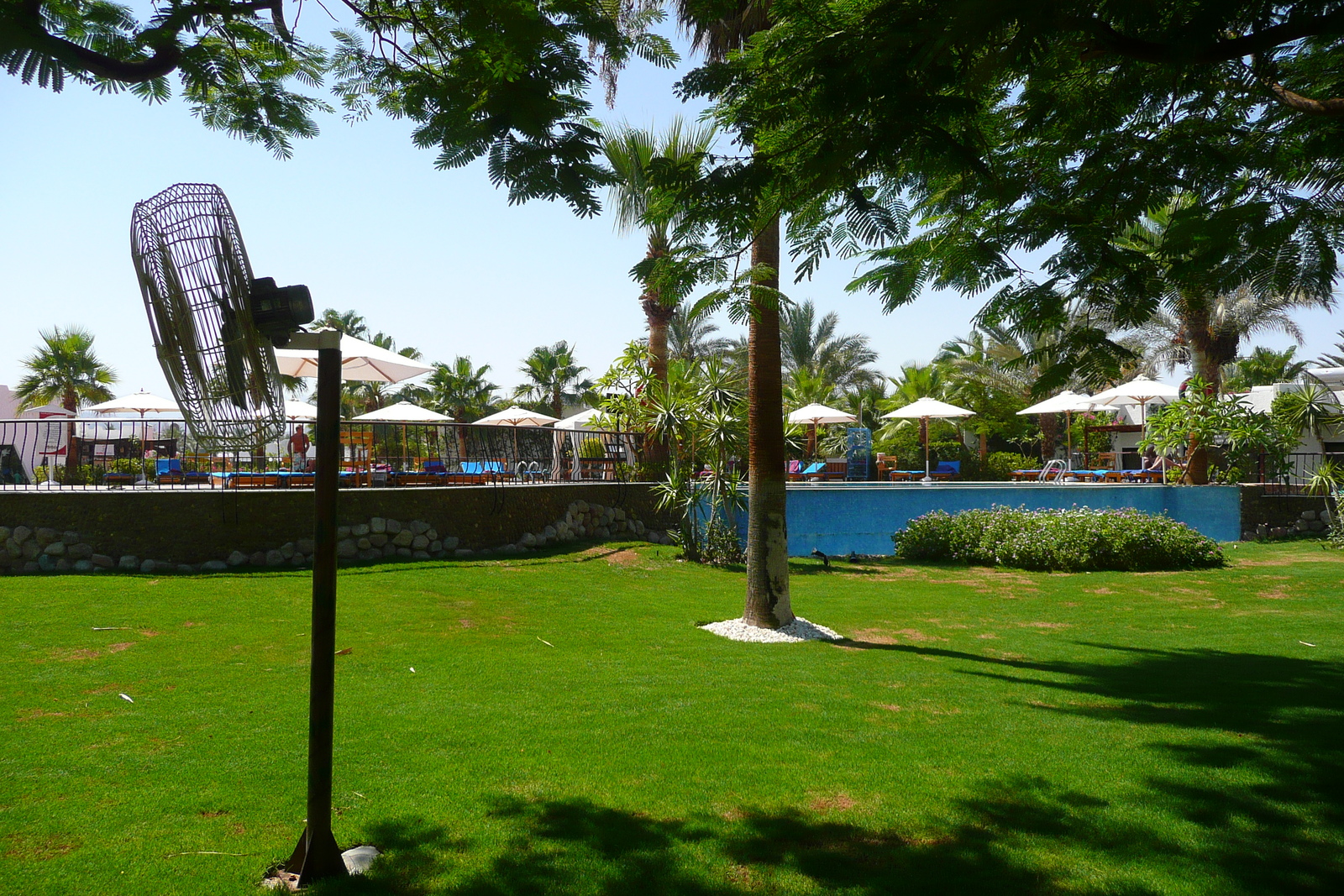 รูปถ่าย อียิปต์(Egypt) ชาร์มเอลชีค(Sharm el Sheikh) 2008-06 69