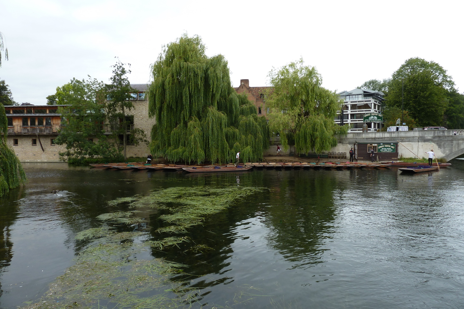 รูปถ่าย อังกฤษ(United Kingdom) เคมบริดจ์(Cambridge) 2011-07 209
