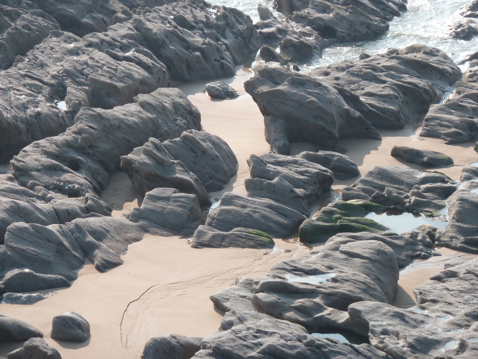 รูปถ่าย ฝรั่งเศส(France) แหลมกรูแอ็ง(Grouin Point) 2010-04 34