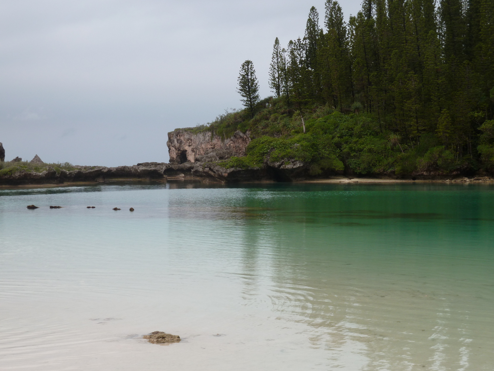 รูปถ่าย นิวแคลิโดเนีย(New Caledonia) เกาะต้นสน(Ile des pins) อ่าวโอโร(Oro Bay) 2010-05 57