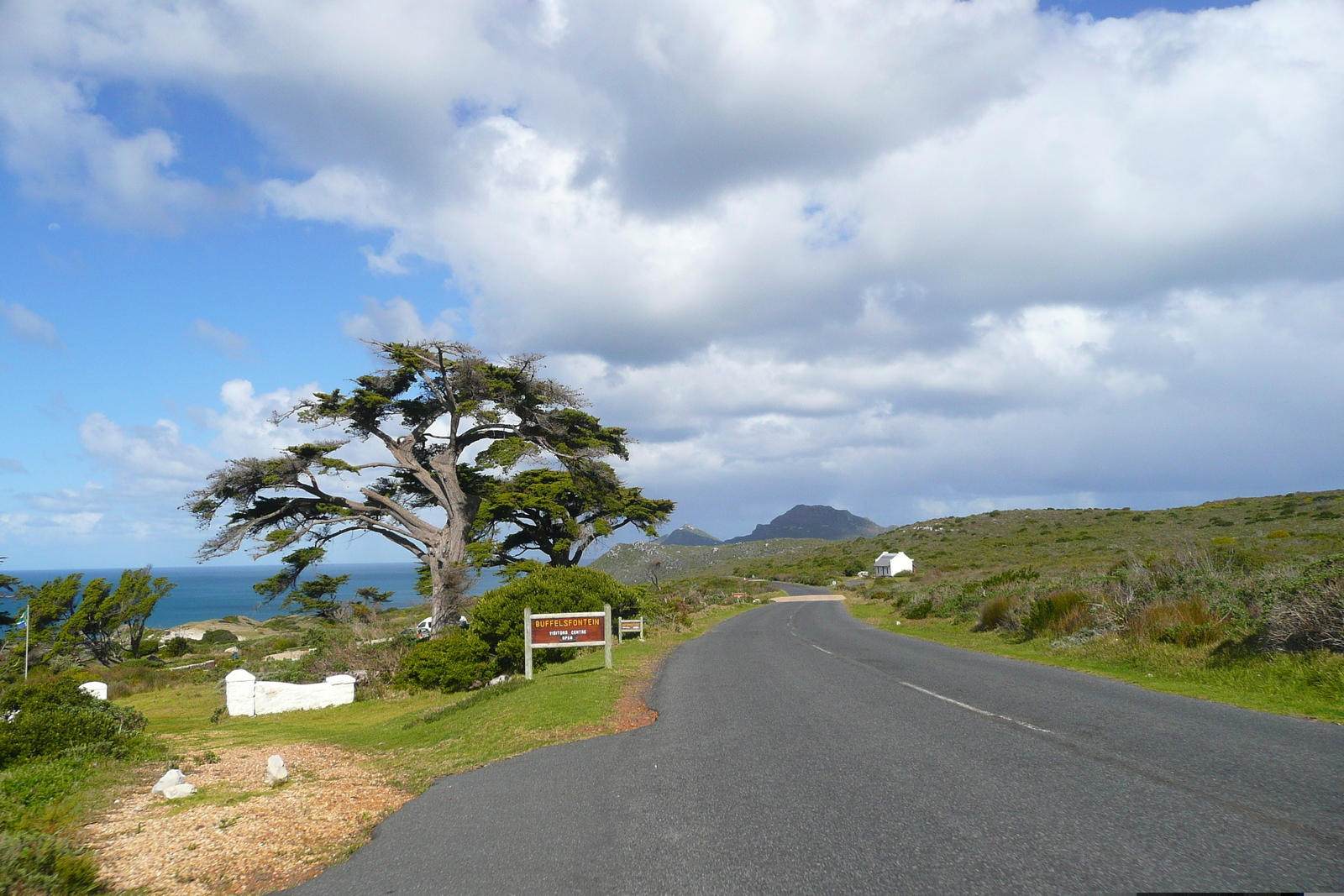 รูปถ่าย แอฟริกาใต้(South Africa) แหลมกู๊ดโฮป(Cape of Good Hope) แหลมเคปพอยต์(Cape Point) 2008-09 33