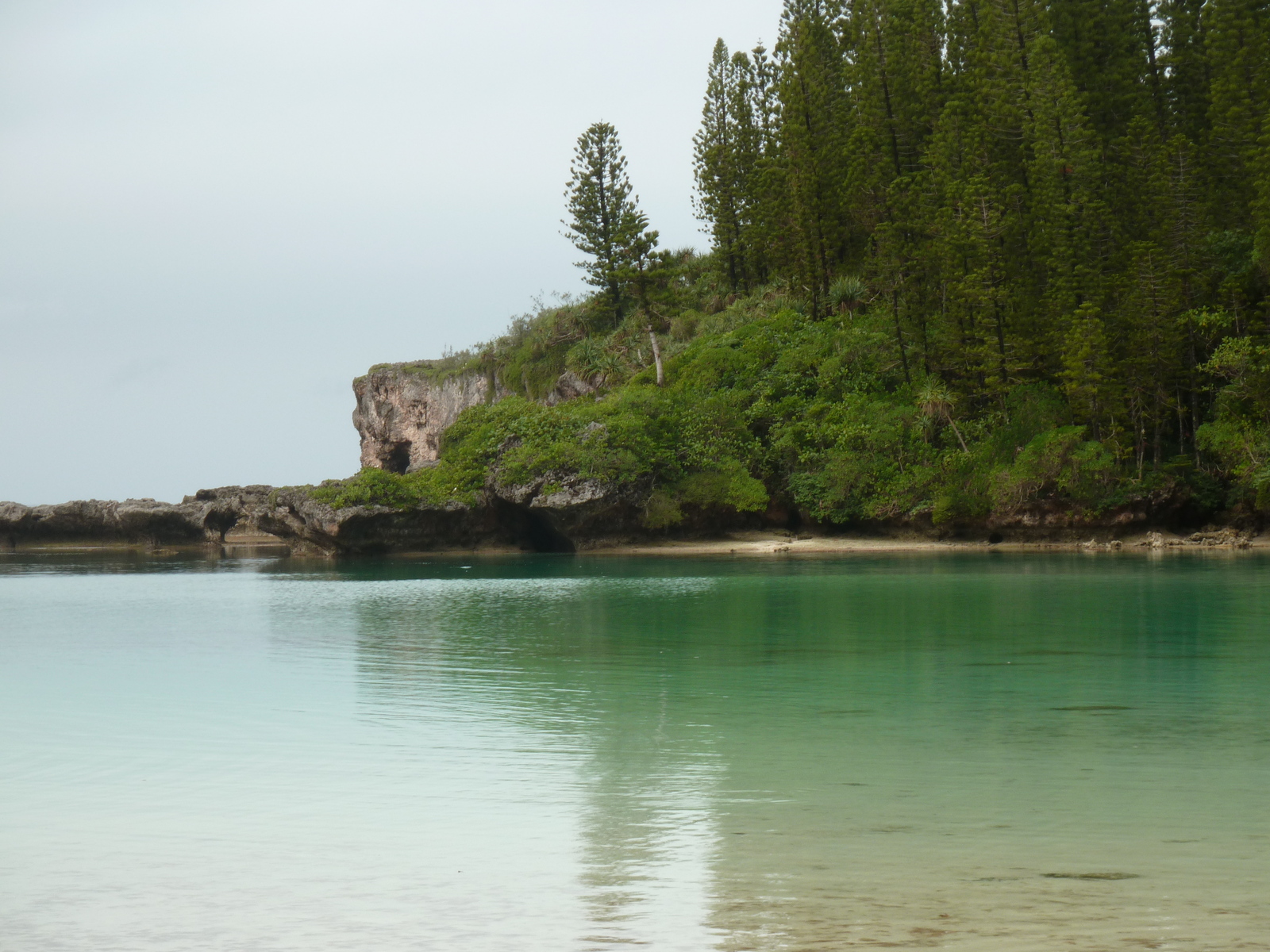 รูปถ่าย นิวแคลิโดเนีย(New Caledonia) เกาะต้นสน(Ile des pins) อ่าวโอโร(Oro Bay) 2010-05 55