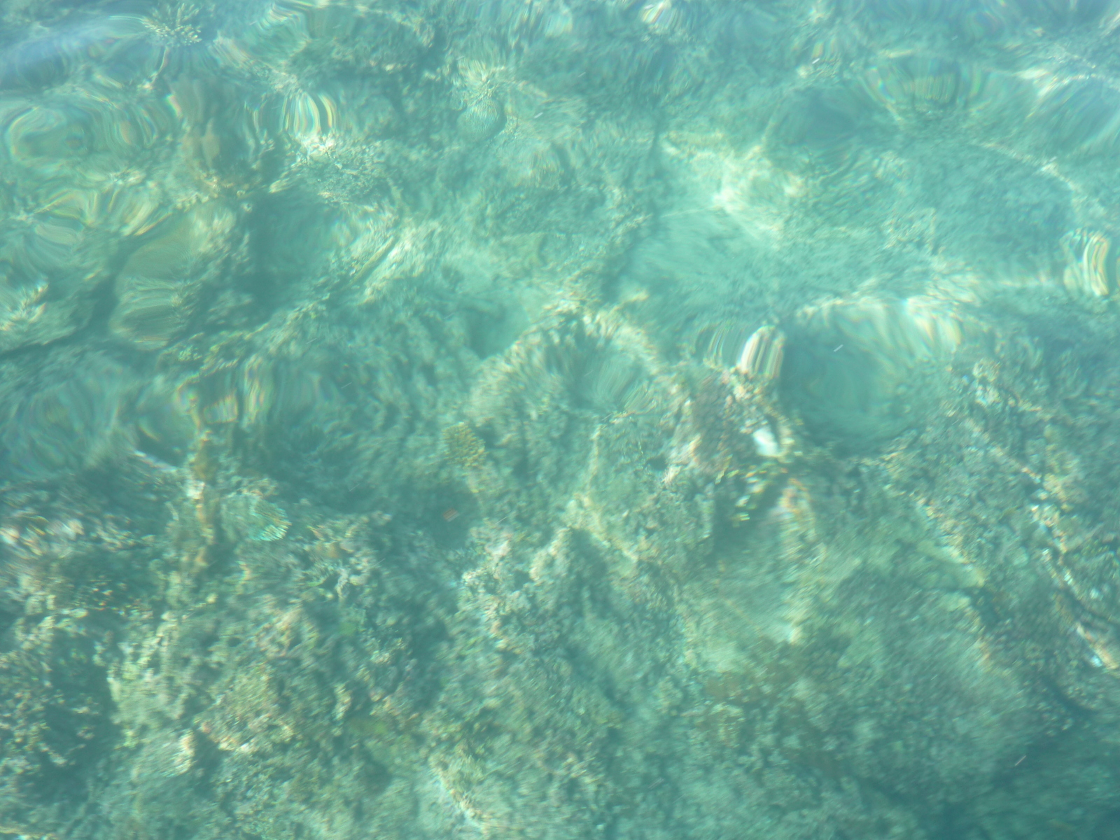 รูปถ่าย ฟิจิ(Fiji) จากเกาะอามูนูกาไปเกาะแคสต์อะเวย์(Amunuca Island to Castaway Island) 2010-05 44