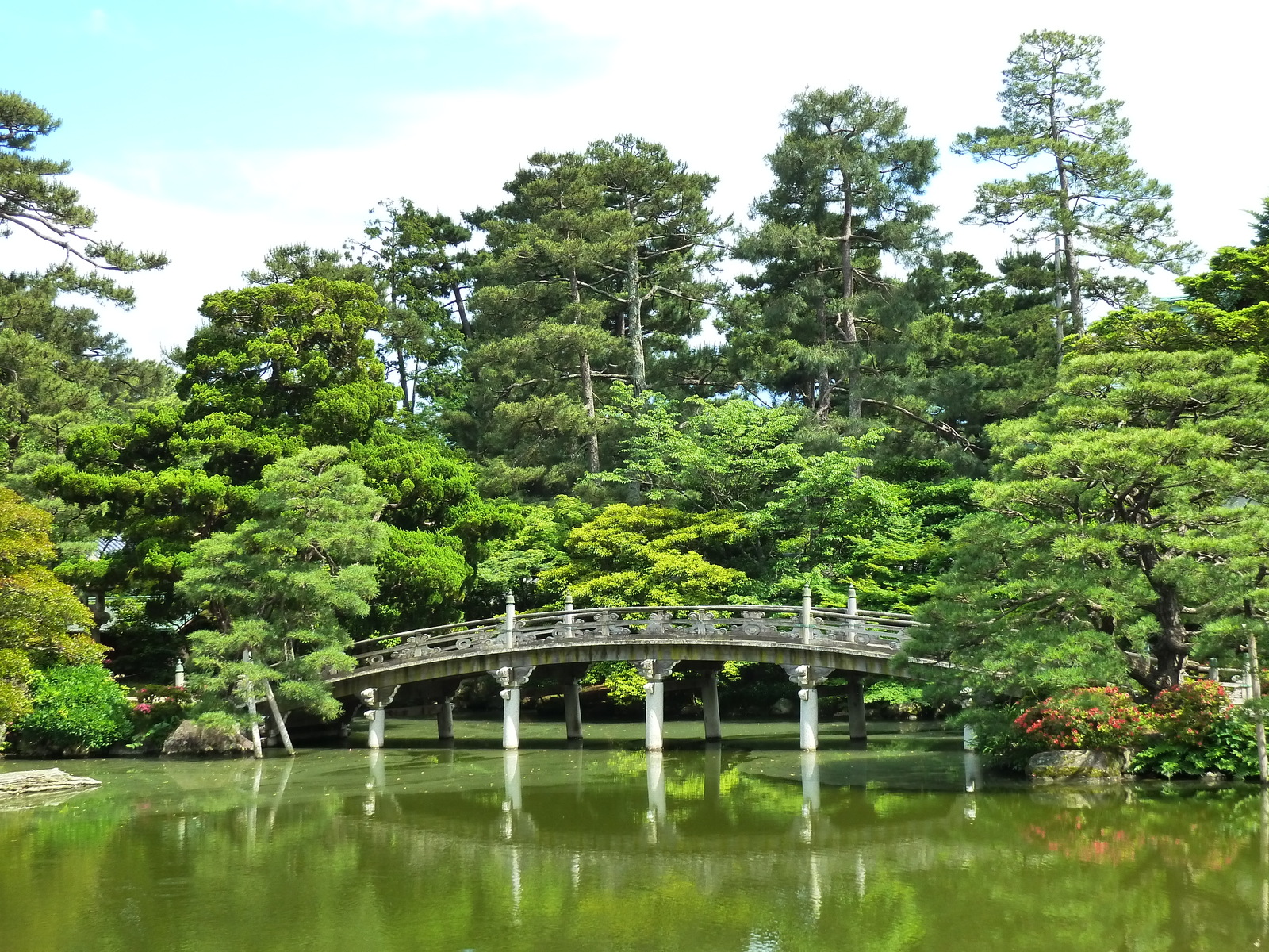 รูปถ่าย ญี่ปุ่น(Japan) เกียวโต(Kyoto) พระราชวังหลวงเกียวโต(Kyoto Imperial Palace) 2010-06 115