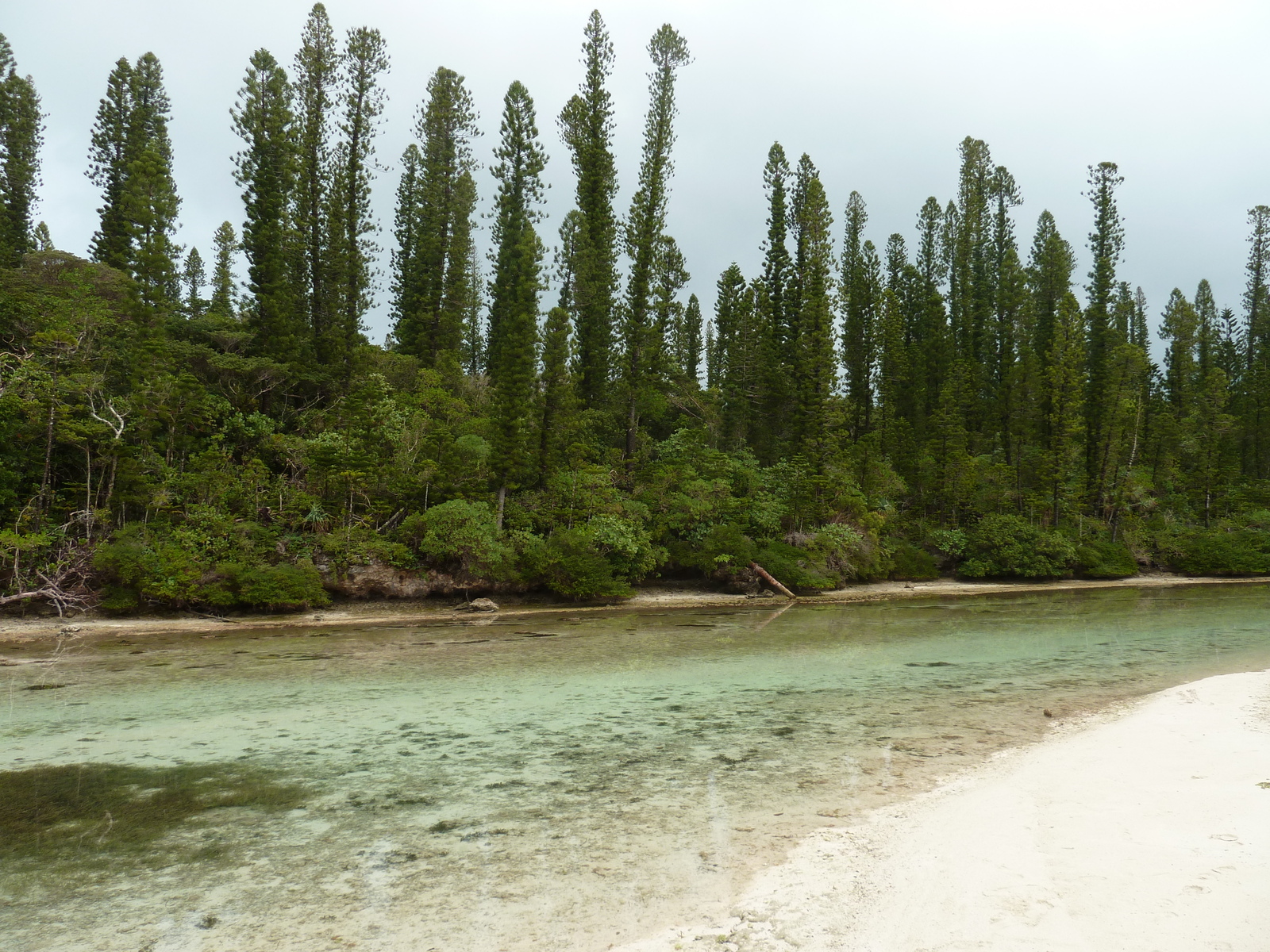 รูปถ่าย นิวแคลิโดเนีย(New Caledonia) เกาะต้นสน(Ile des pins) อ่าวโอโร(Oro Bay) 2010-05 50
