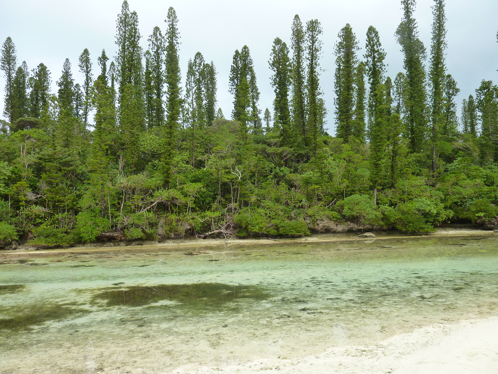 รูปถ่าย นิวแคลิโดเนีย(New Caledonia) เกาะต้นสน(Ile des pins) อ่าวโอโร(Oro Bay) 2010-05 53