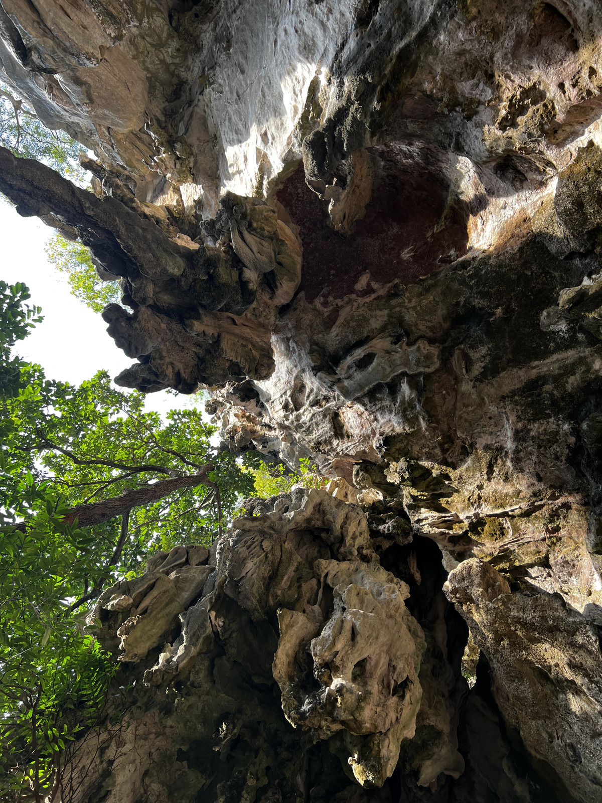 รูปถ่าย ไทย(Thailand) กระบี่(Krabi) 2023-01 10