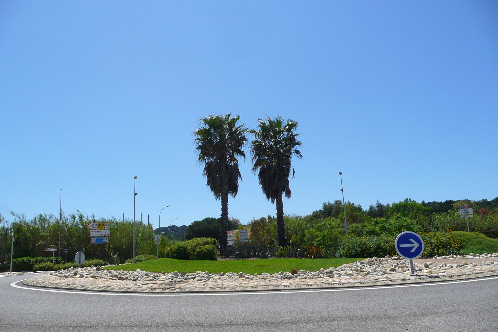 รูปถ่าย ฝรั่งเศส(France) เฟรนช์ริวิเอรา(French Riviera) คาบสมุทรอีแยร์(Hyeres peninsula) 2008-05 14