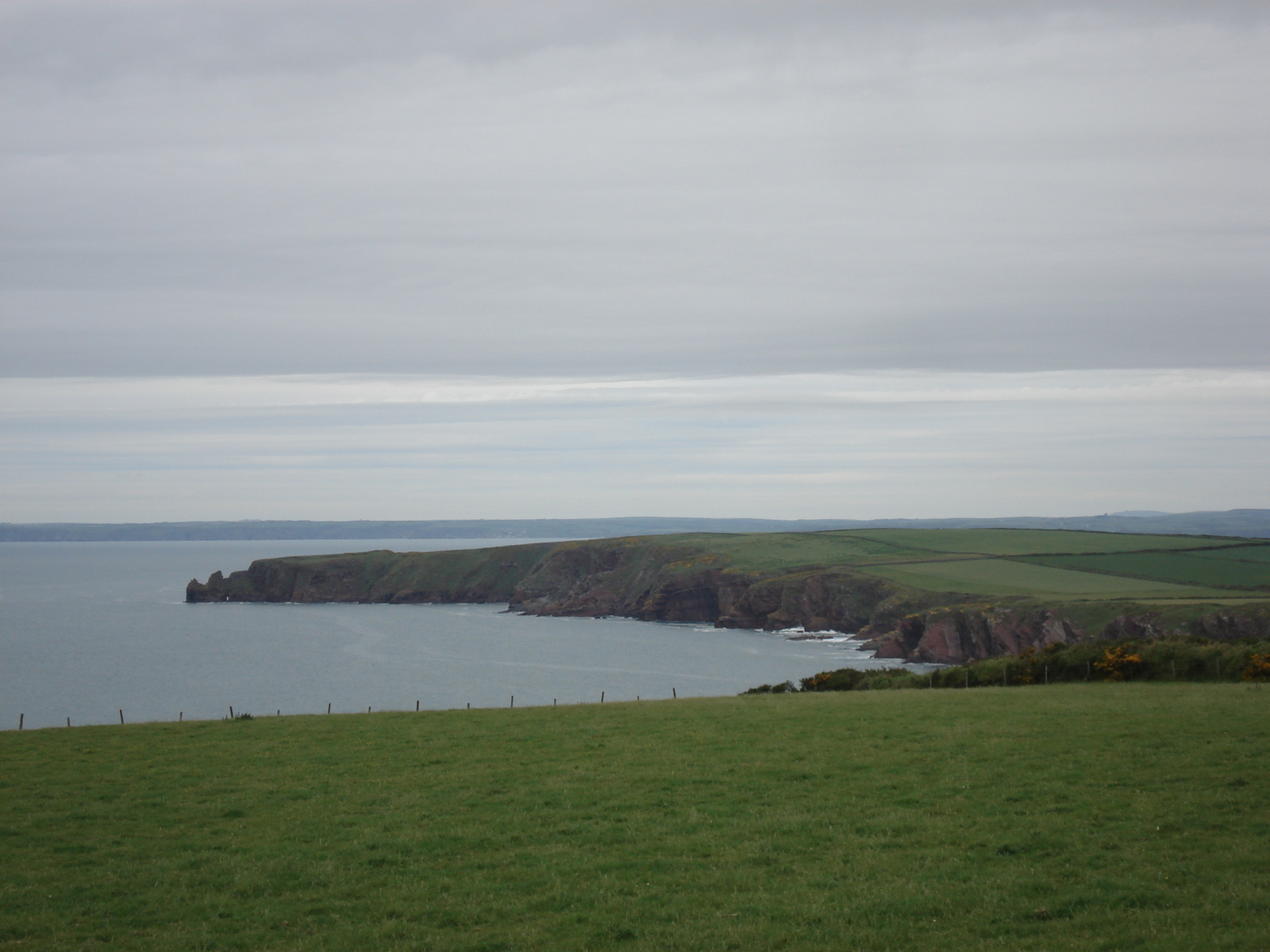 รูปถ่าย อังกฤษ(United Kingdom) เปมโบรคเชอร์(Pembrokeshire) 2006-05 6