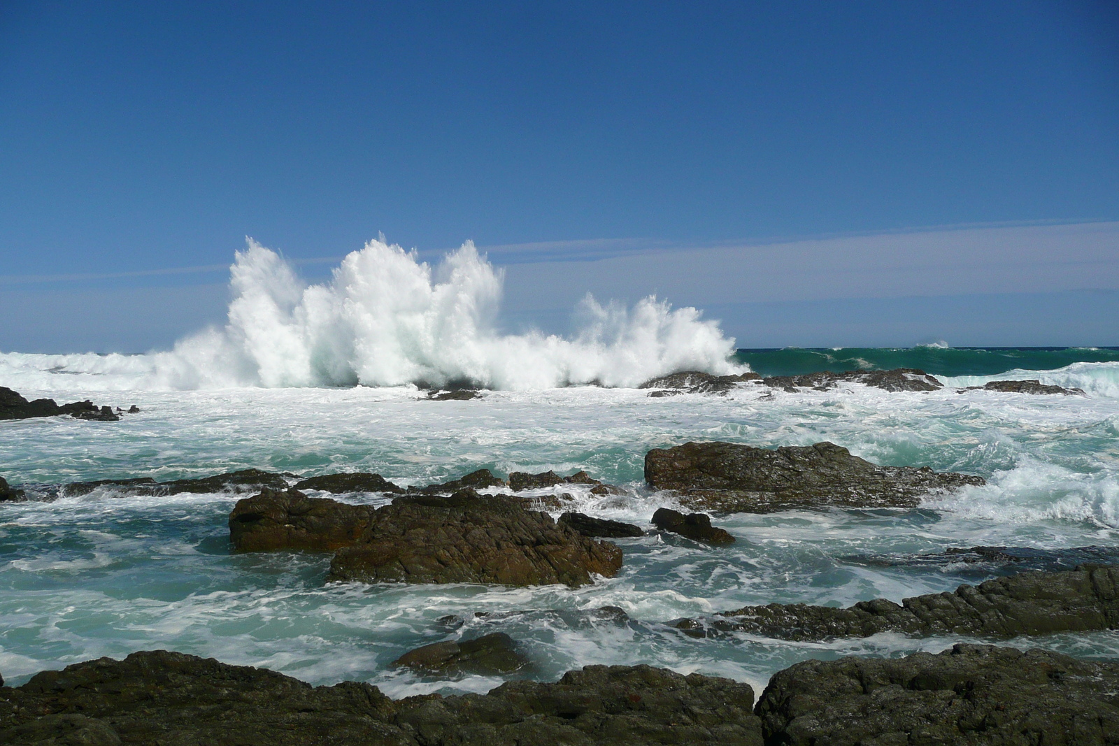 รูปถ่าย แอฟริกาใต้(South Africa) อุทยานแห่งชาติซิตซิคัมมา(Tsitsikamma National Park) 2008-09 317