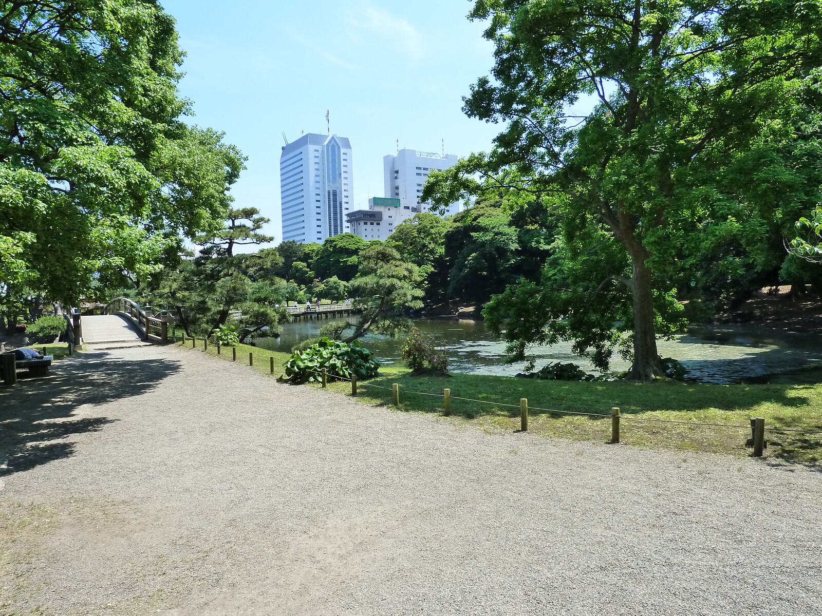 รูปถ่าย ญี่ปุ่น(Japan) โตเกียว(Tokyo) สวนฮามะริคิว(Hama rikyu Gardens) 2010-06 100