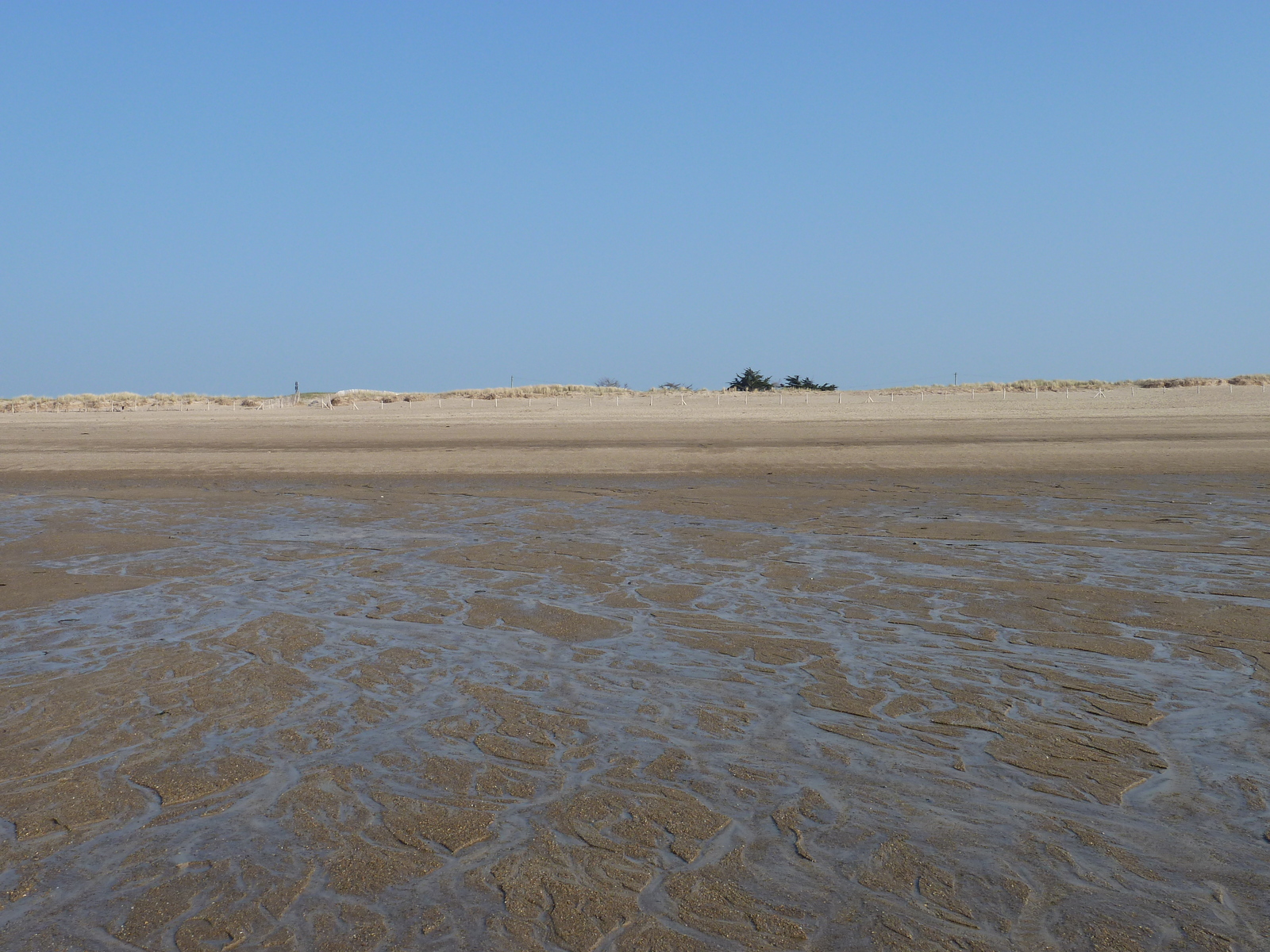 รูปถ่าย ฝรั่งเศส(France) แซ็งกูลง(St Coulomb) อ่าวดูแกลแกล็ง(Du Guesclin Bay) 2010-04 3