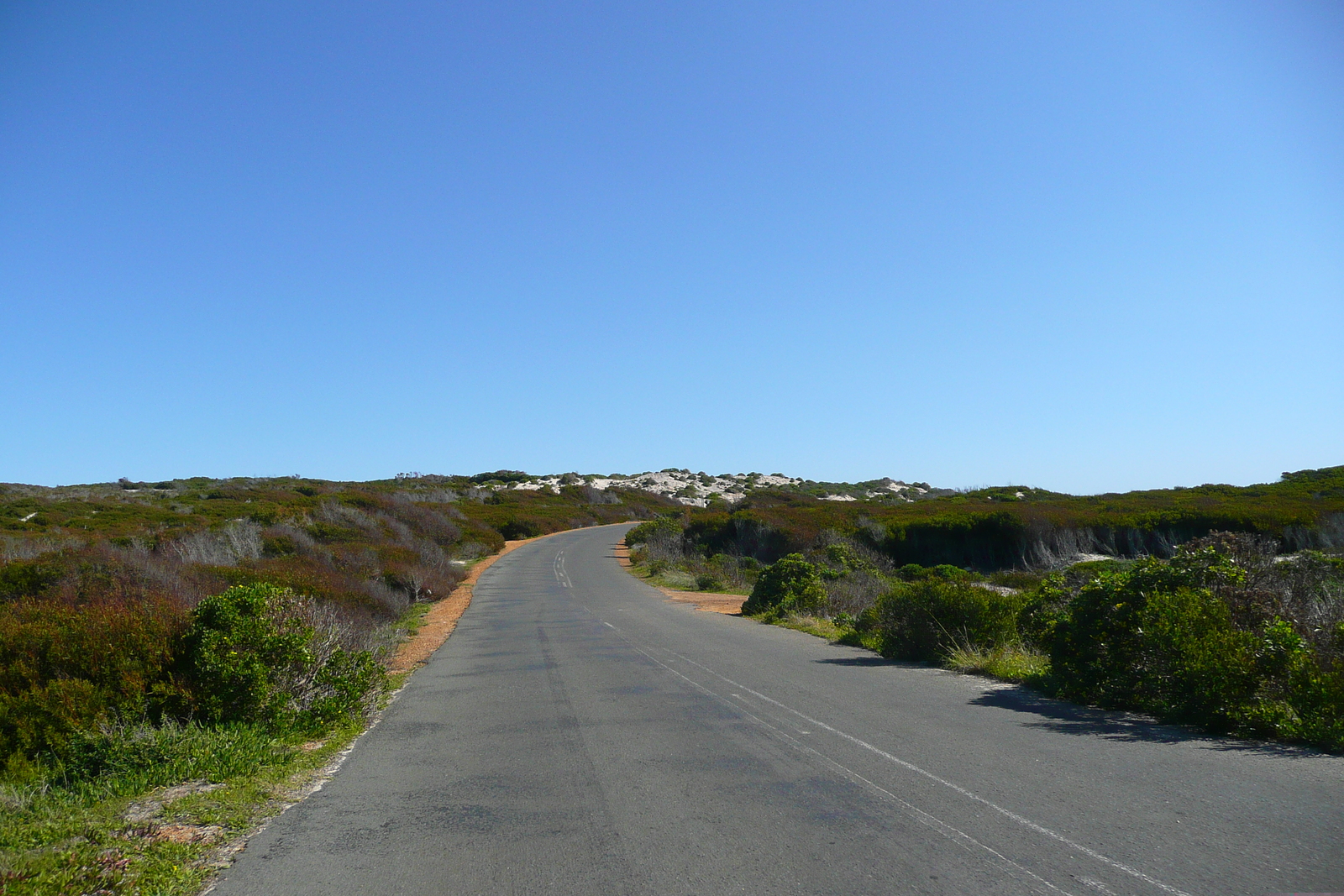 รูปถ่าย แอฟริกาใต้(South Africa) ถนนจากเคปทาวน์ไปเฮอร์มานัส(Cape Town to Harmanus road) 2008-09 10