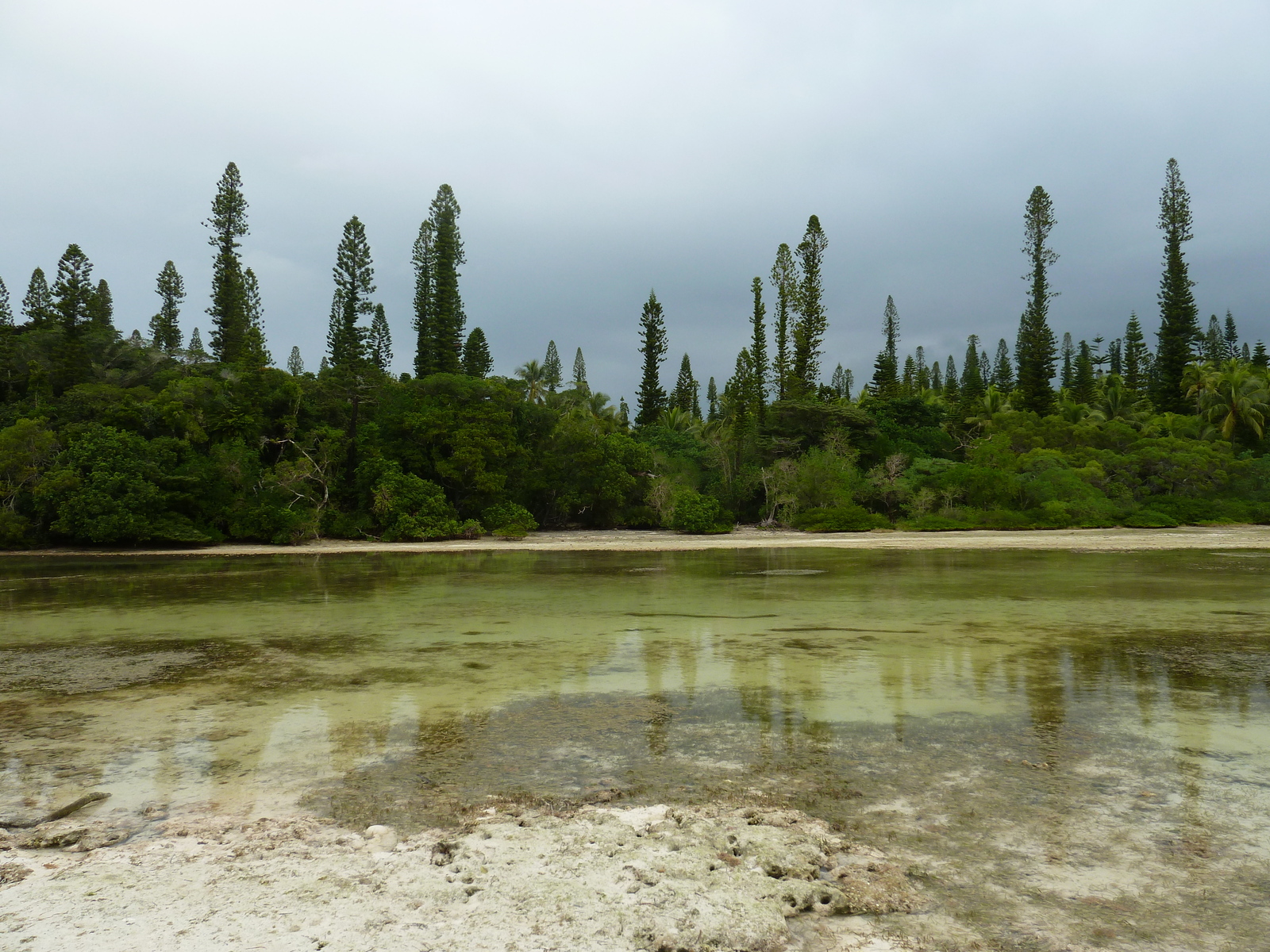 รูปถ่าย นิวแคลิโดเนีย(New Caledonia) 2010-05 73